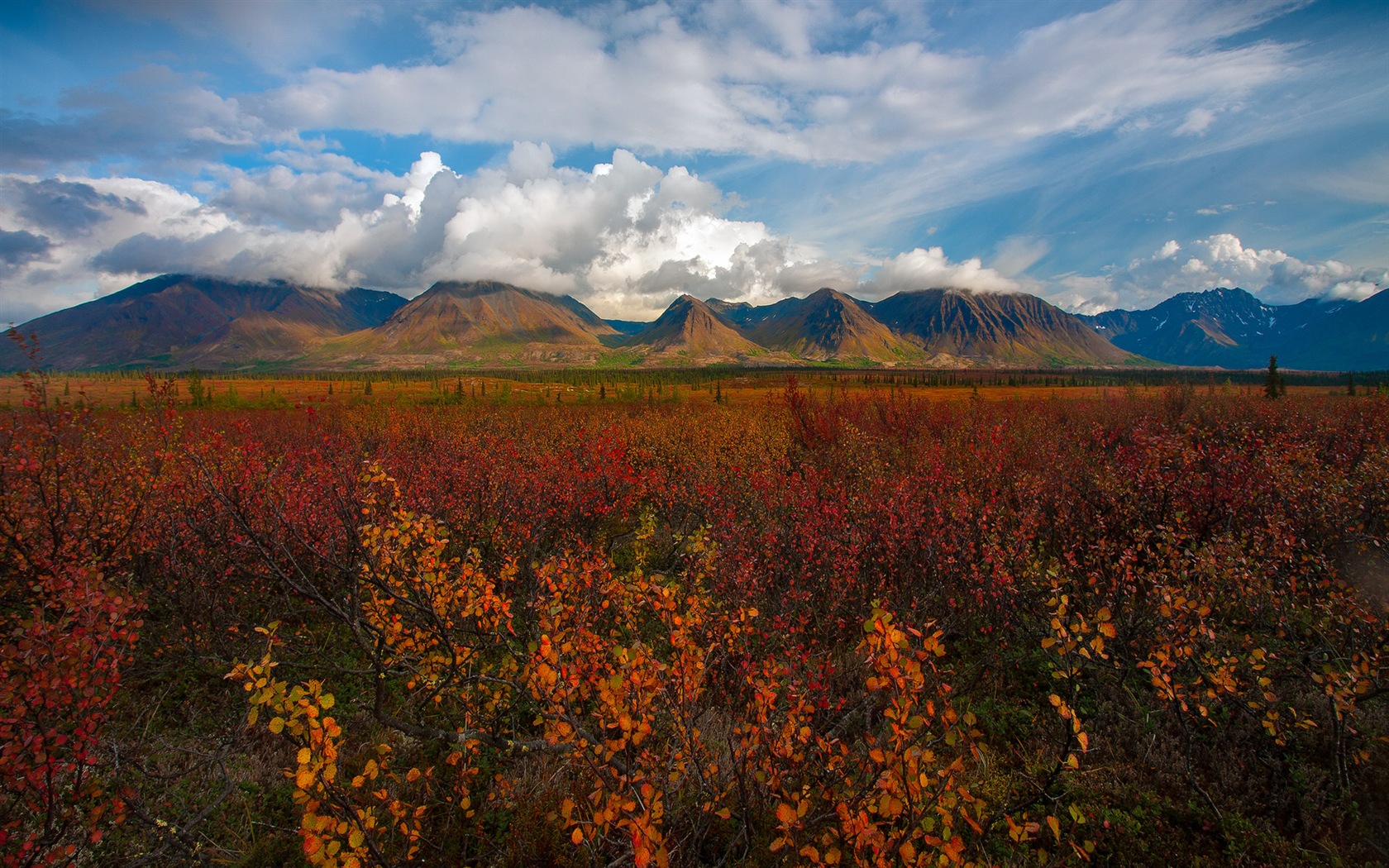 Denali National Park 迪納利國家公園 高清風景壁紙 #9 - 1680x1050