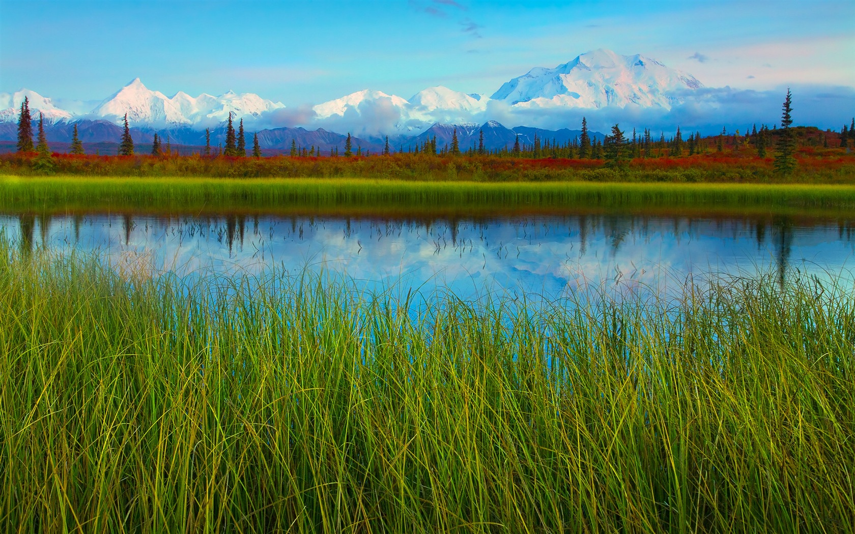 Denali National Park HD Tapety #11 - 1680x1050