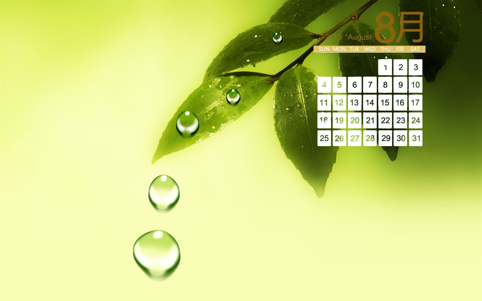 August 2013 Kalender Wallpaper (1) #15 - 1680x1050