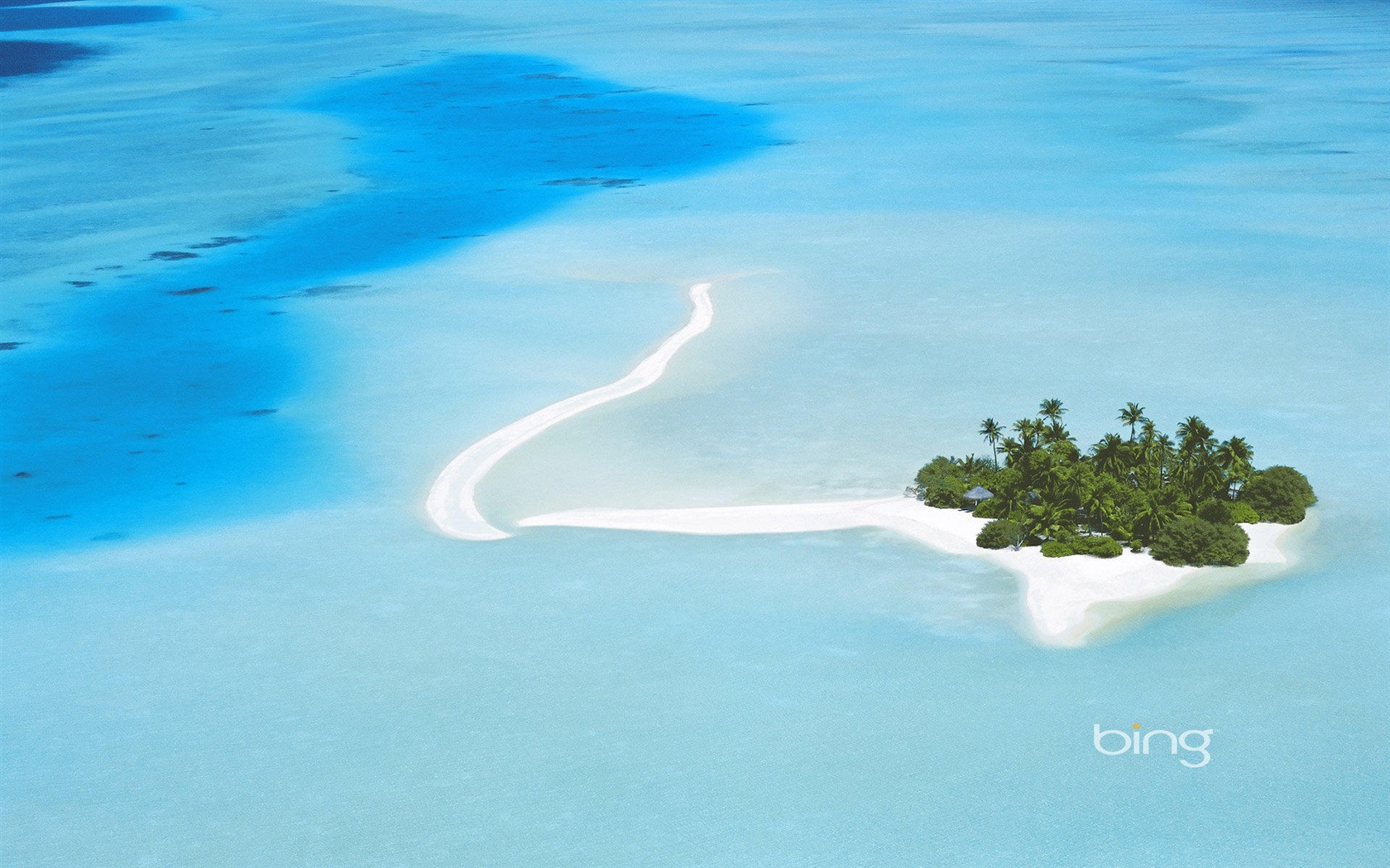 2013 Bing 必應官方動物和風景高清壁紙 #21 - 1680x1050