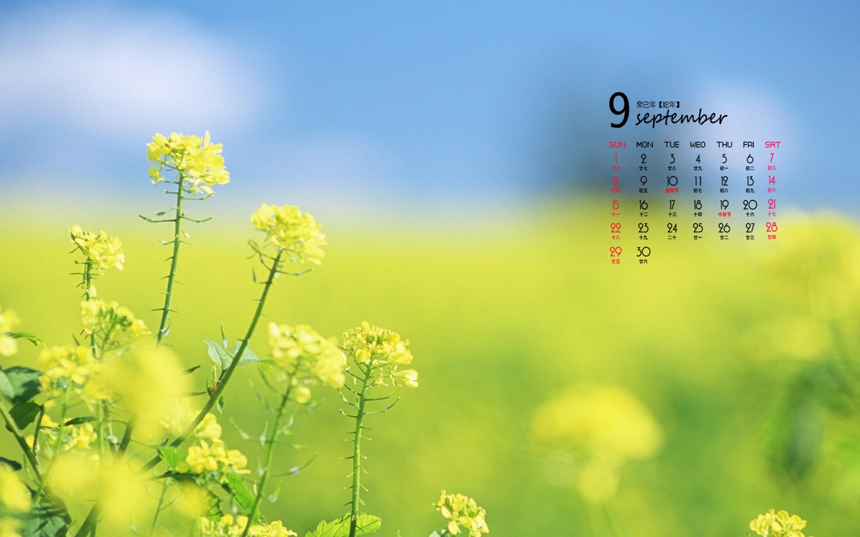 09 2013 Calendar fondo de pantalla (1) #4 - 1680x1050
