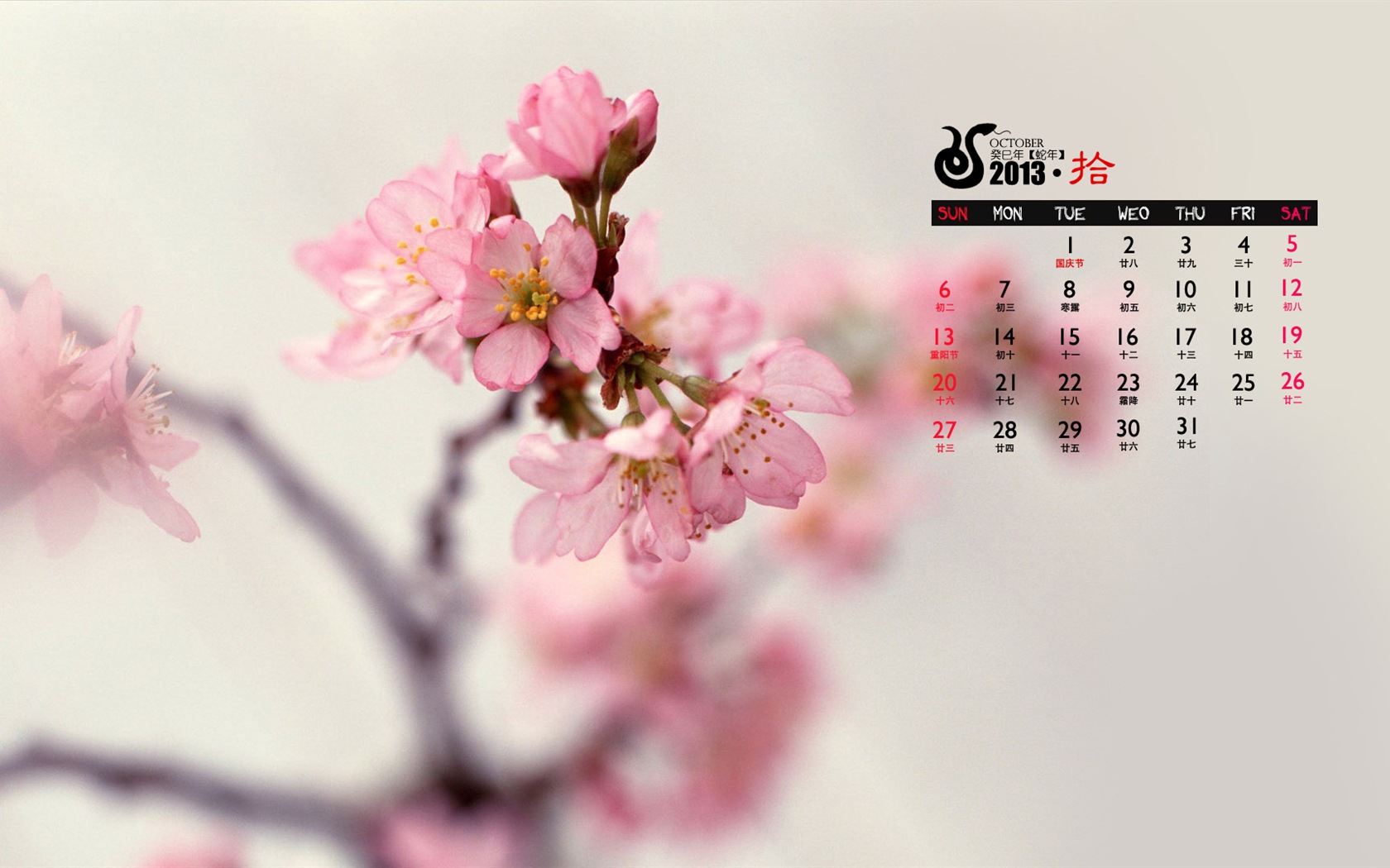 2013年10月 月曆壁紙(一) #8 - 1680x1050