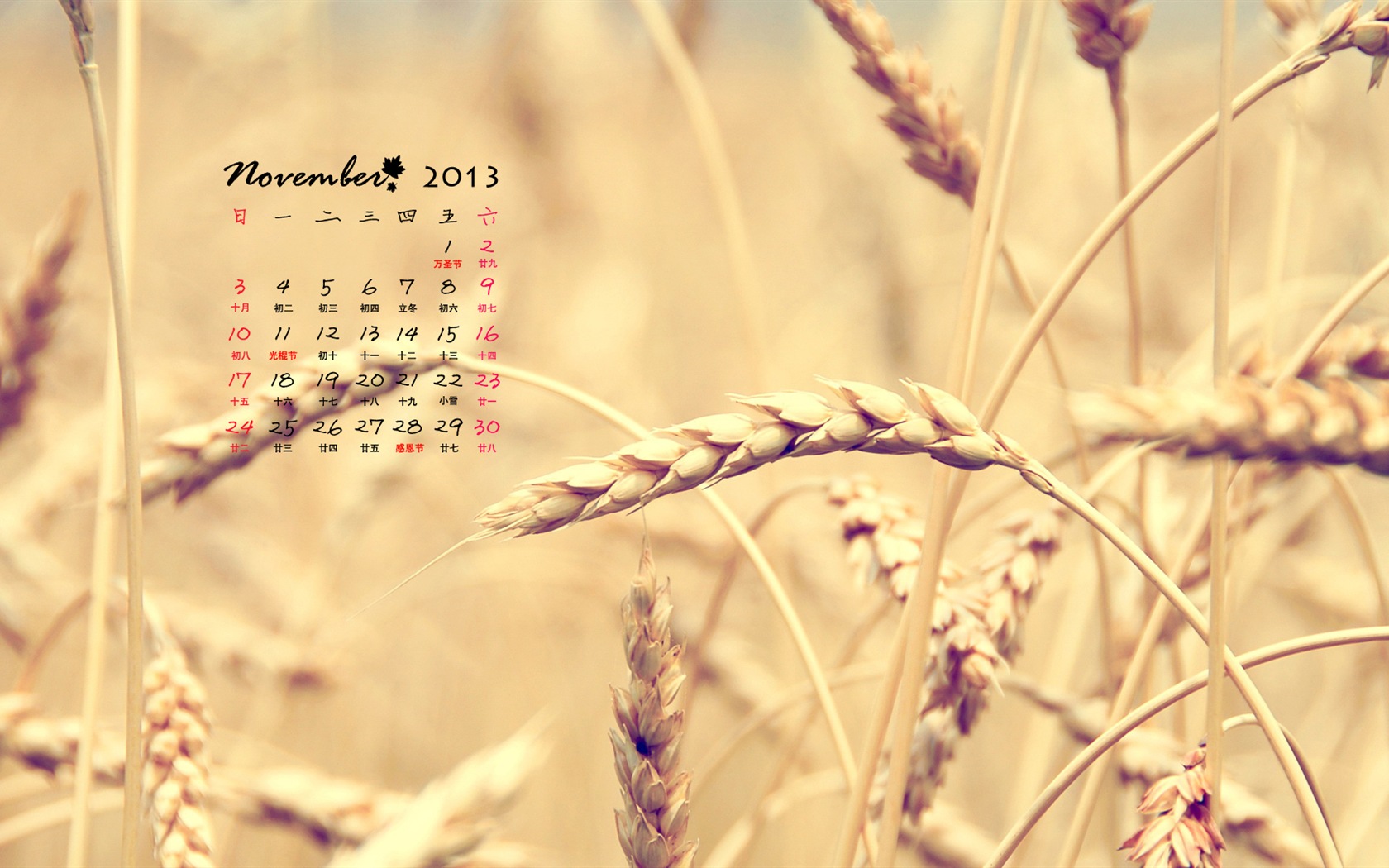 November 2013 Calendar wallpaper (1) #16 - 1680x1050