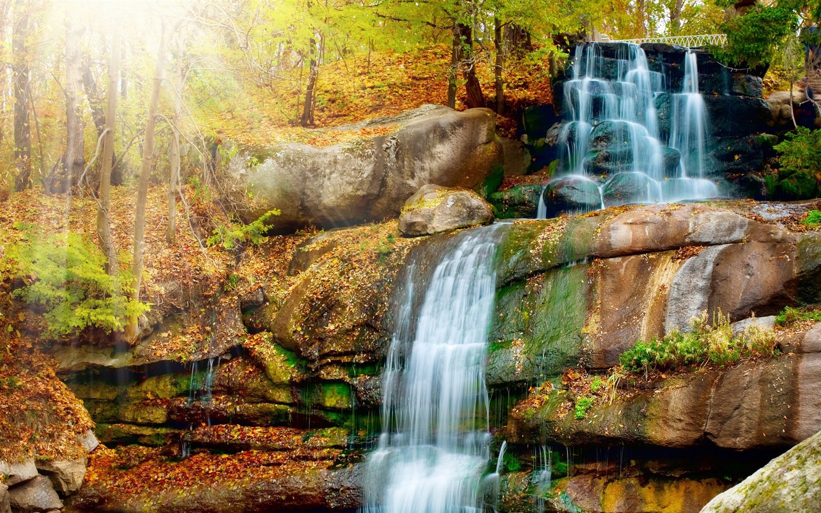Autumn red leaves forest trees HD wallpaper #4 - 1680x1050