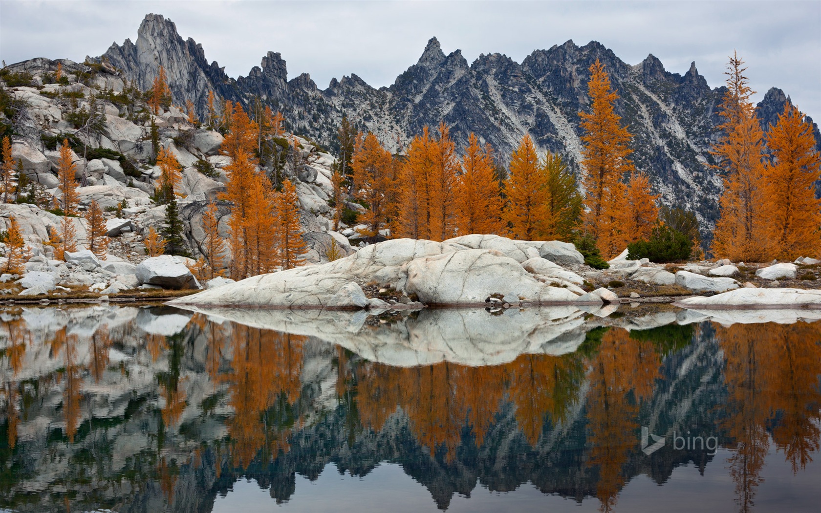Microsoft bing November exquisite HD wallpaper #18 - 1680x1050