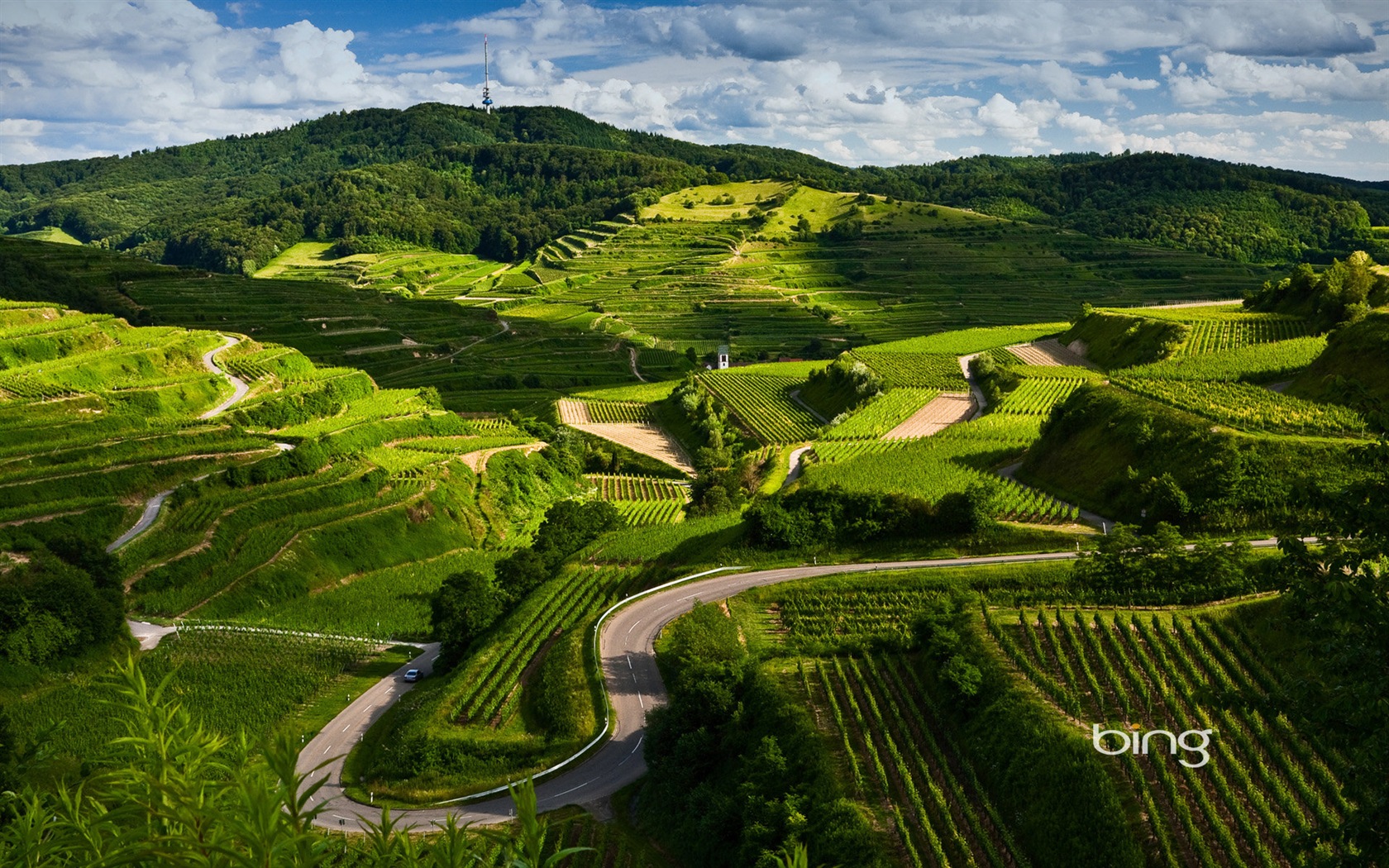 Sélection de fonds d'écran Bing en Janvier 2014 #3 - 1680x1050