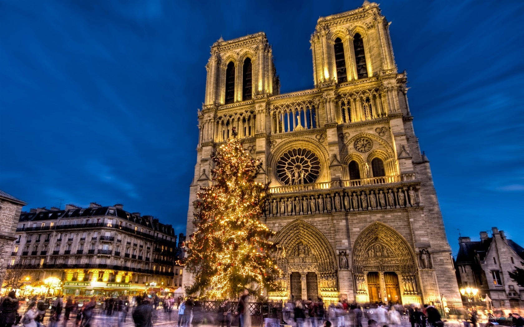 Notre Dame HD Wallpapers #7 - 1680x1050