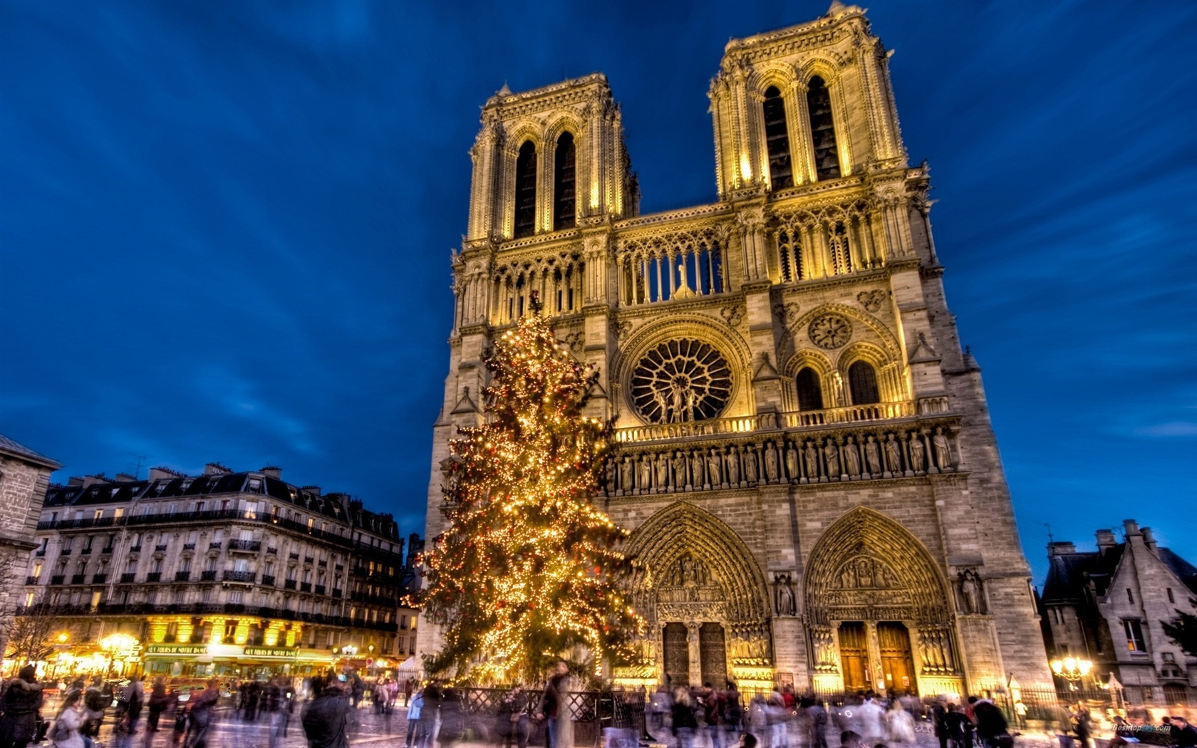 Notre Dame HD Tapety na plochu #7 - 1680x1050