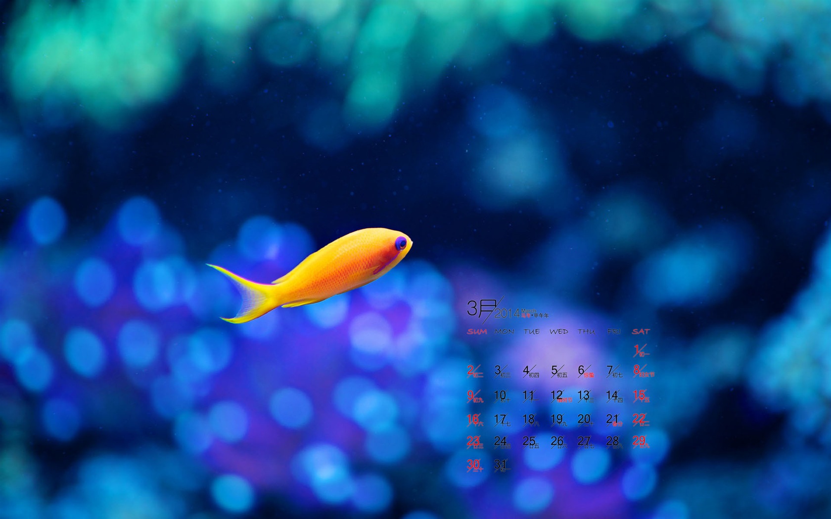 2014年3月 月曆壁紙(一) #3 - 1680x1050