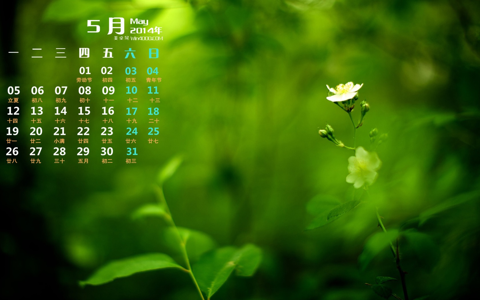 2014年5月 月历壁纸(一)4 - 1680x1050