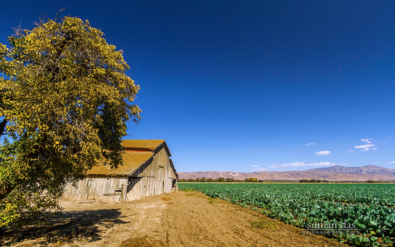 Californie paysages côtiers, Windows 8 fonds d'écran thématiques #4 - 1680x1050