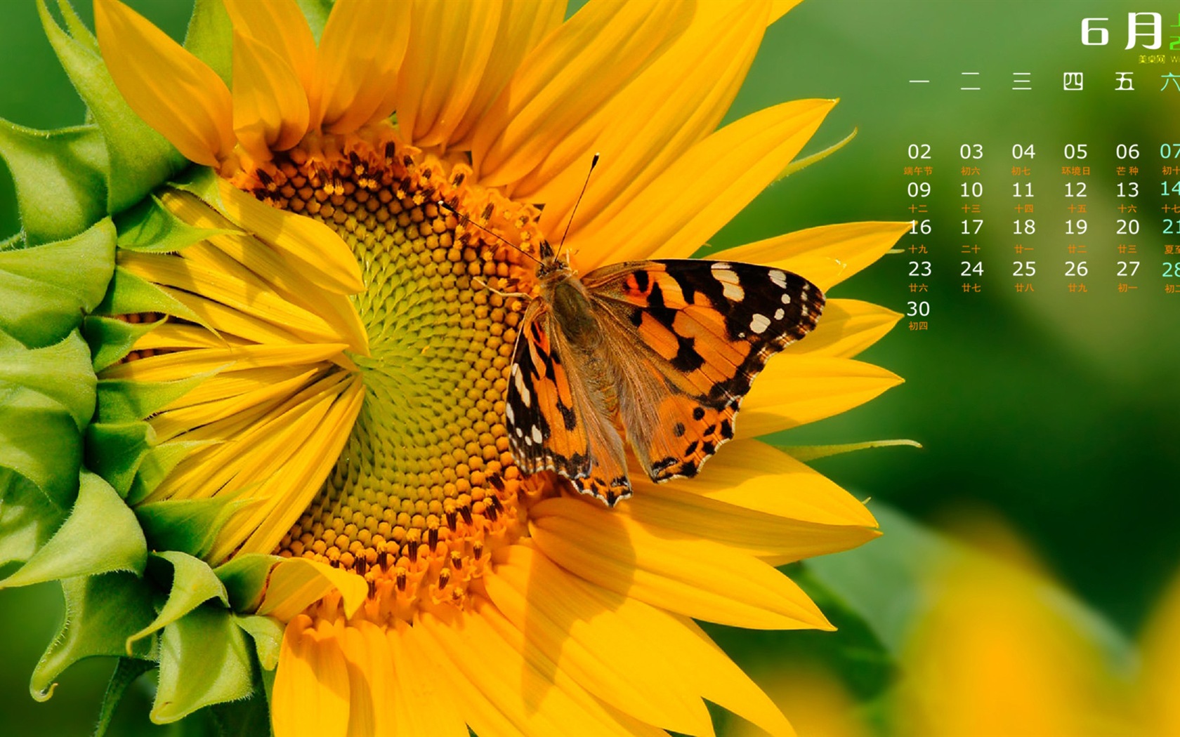 June 2014 calendar wallpaper (1) #6 - 1680x1050