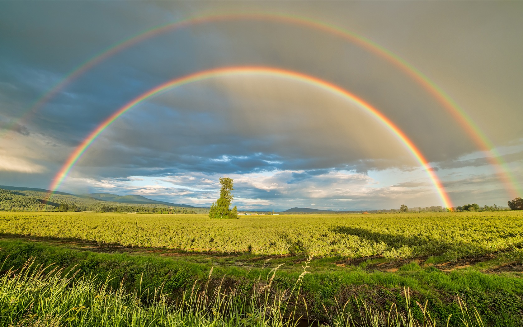 Schöner Regenbogen Landschaft HD Wallpaper #1 - 1680x1050