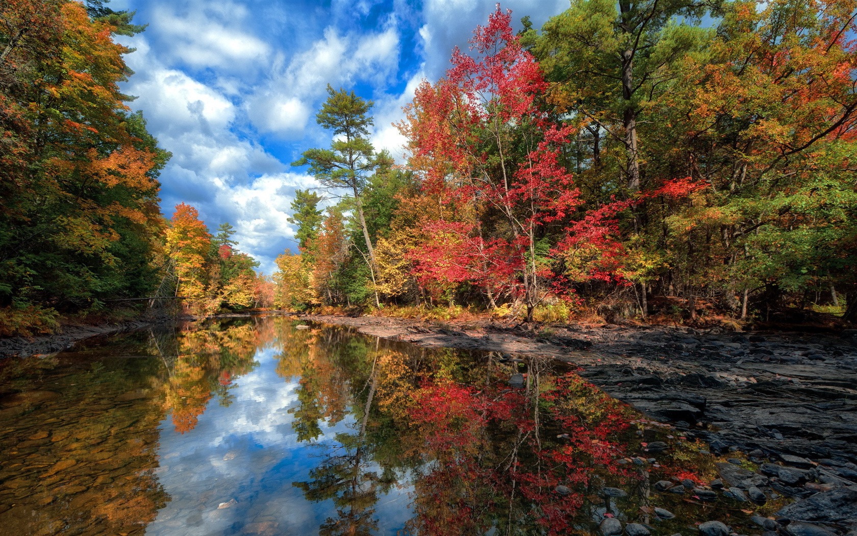 Voda a stromy v podzimních HD tapety na plochu #4 - 1680x1050