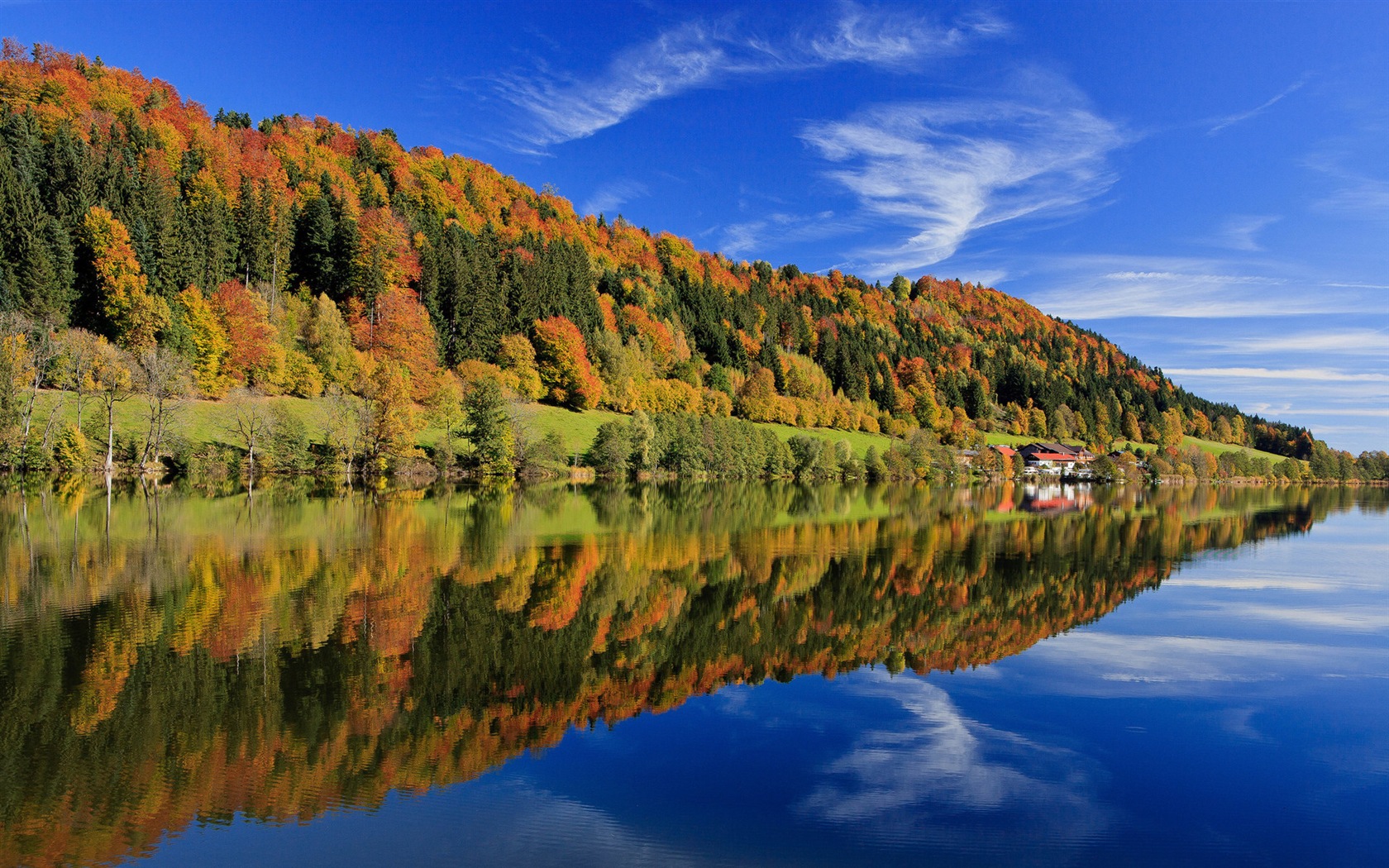 El agua y los árboles en otoño fondos de pantalla HD #5 - 1680x1050