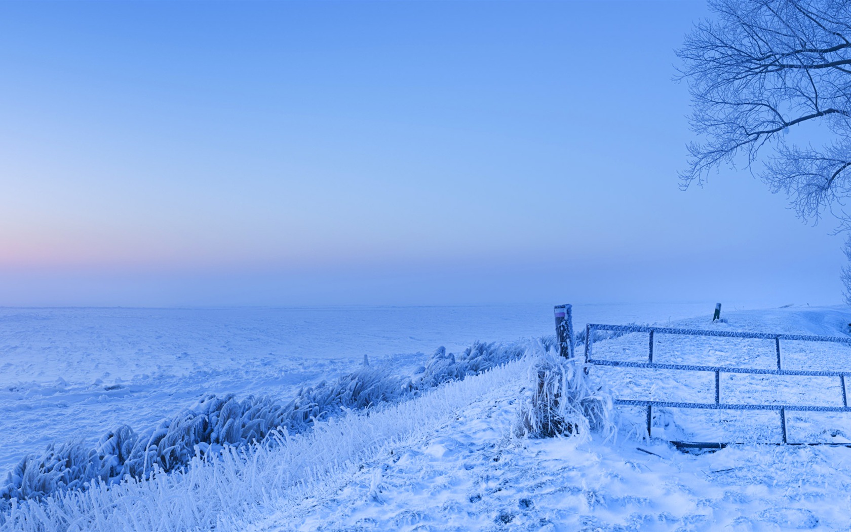 美しい寒い冬の雪、Windows 8のパノラマワイドスクリーンの壁紙 #2 - 1680x1050