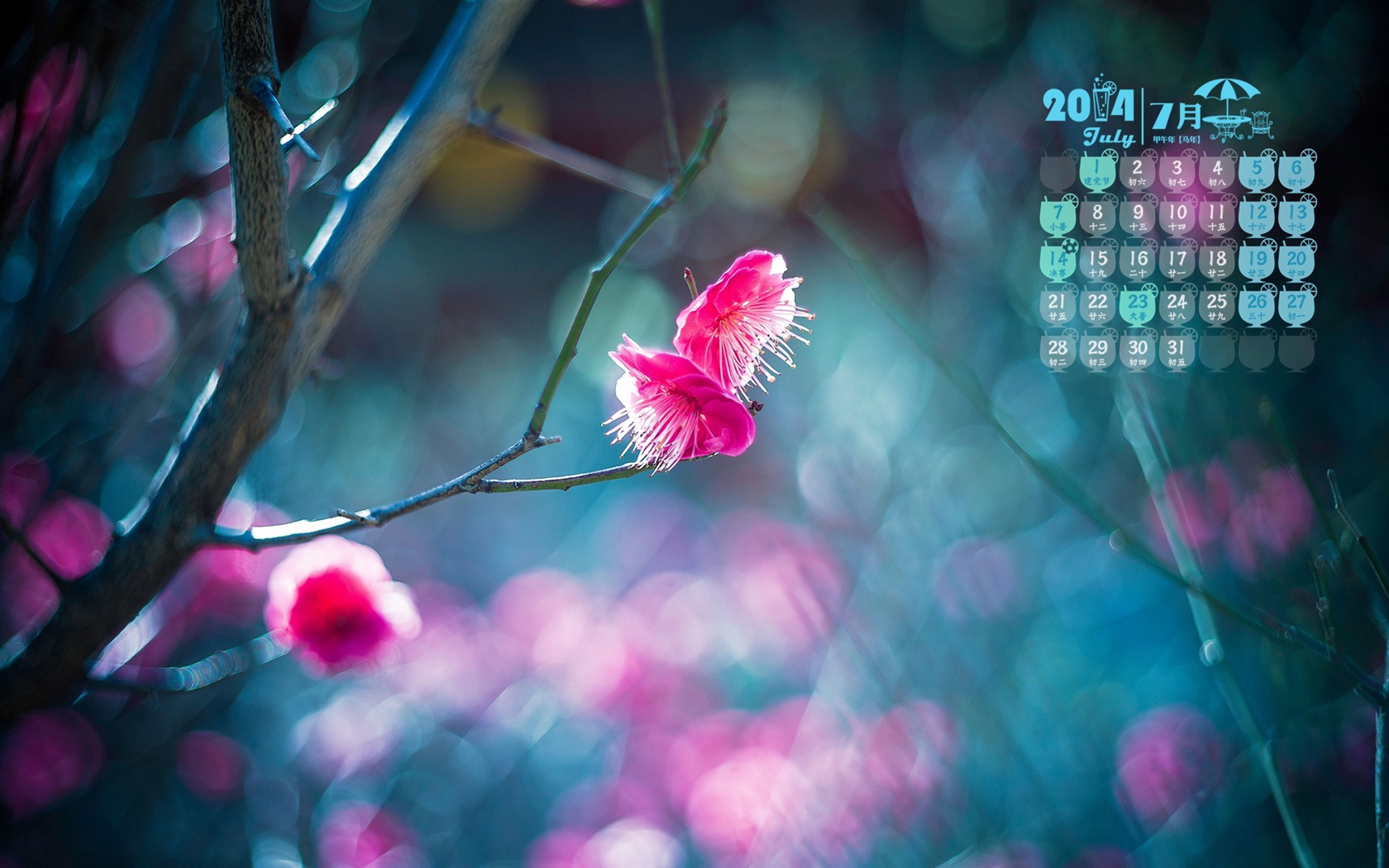 Juli 2014 Kalender Wallpaper (1) #17 - 1680x1050