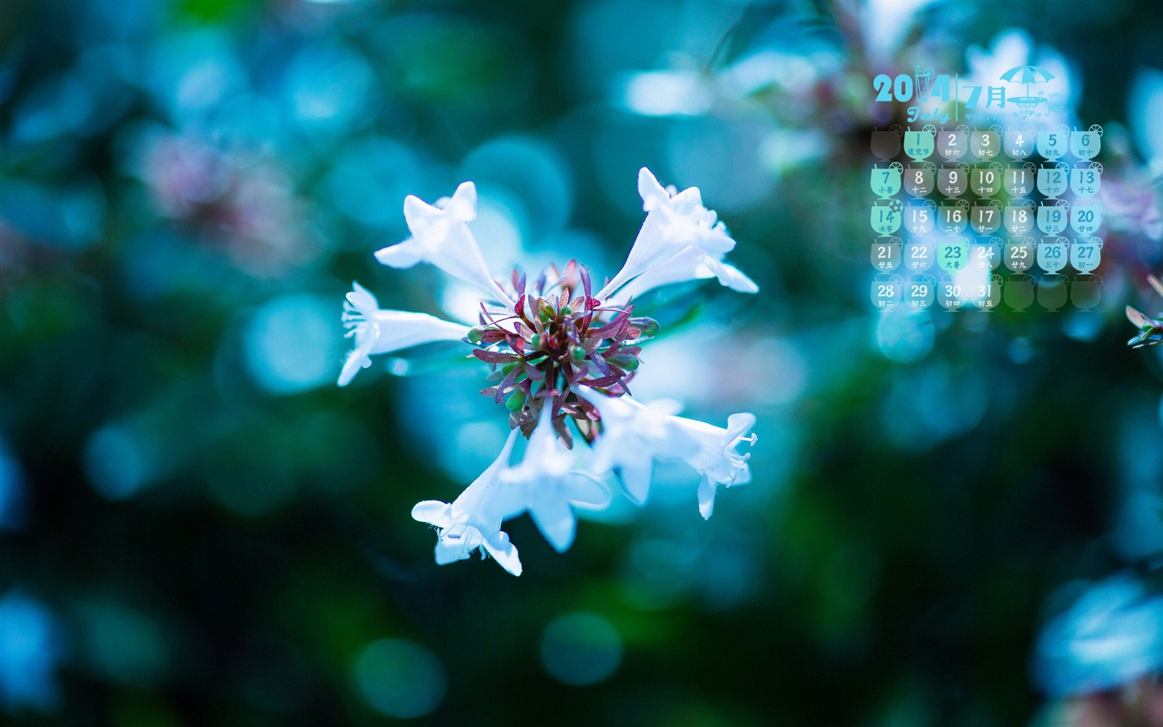 2014年7月 月曆壁紙(一) #18 - 1680x1050