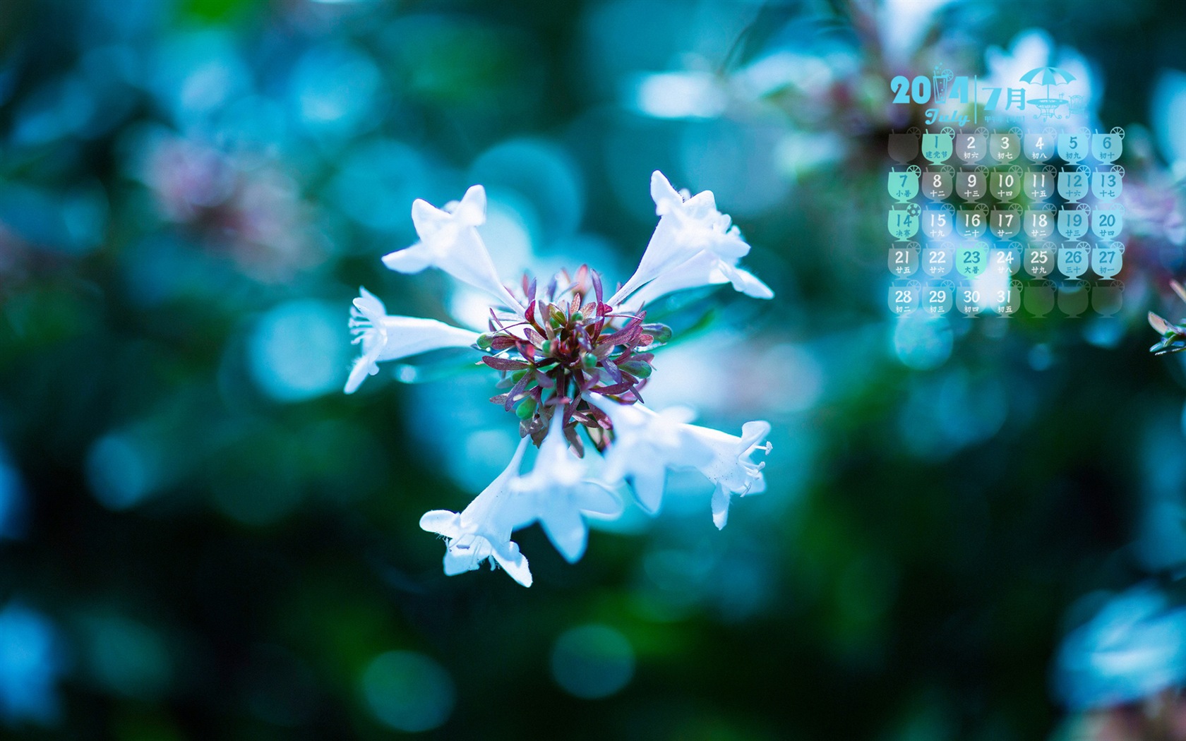 July 2014 calendar wallpaper (1) #18 - 1680x1050