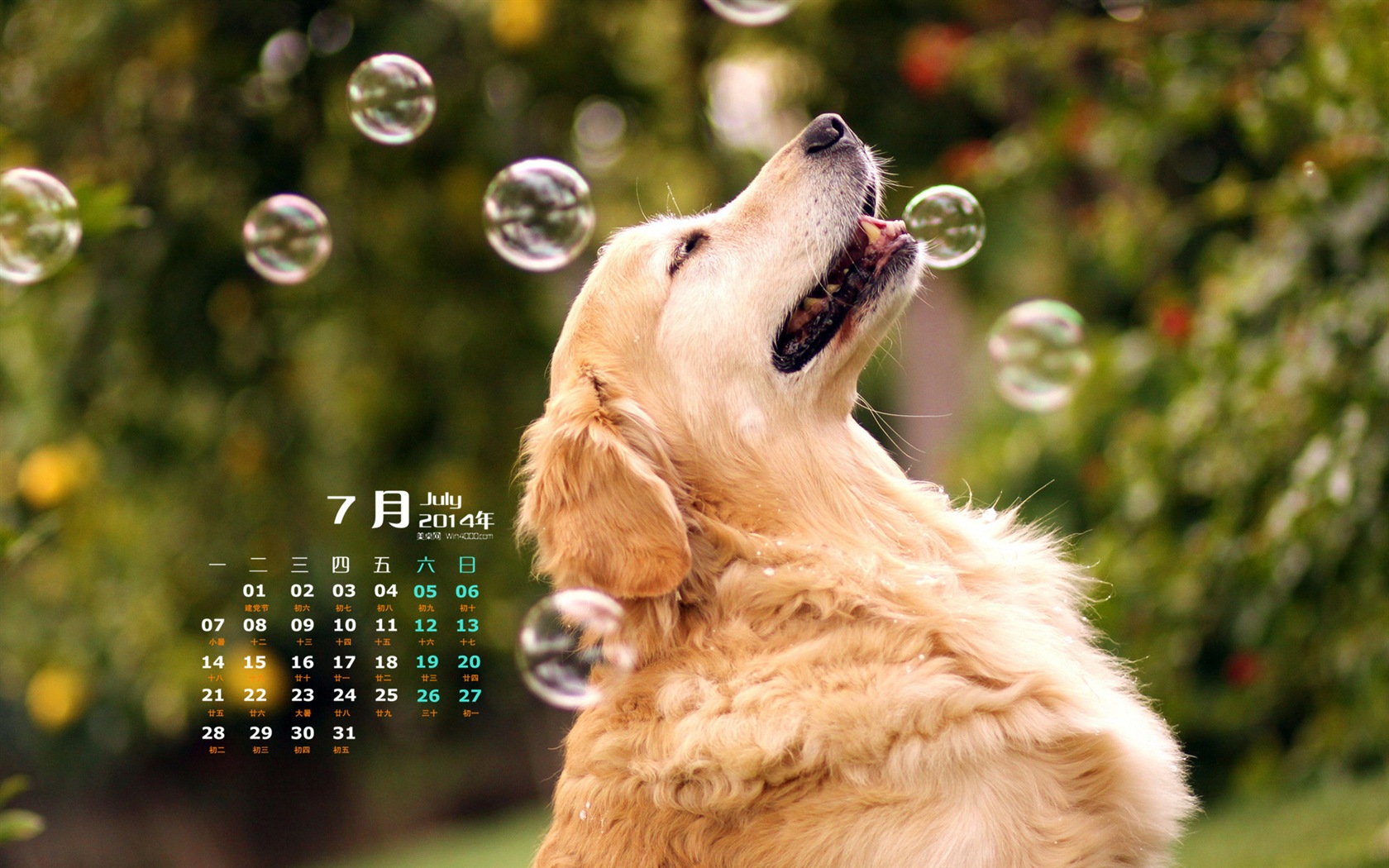 Juli 2014 Kalender Wallpaper (2) #11 - 1680x1050