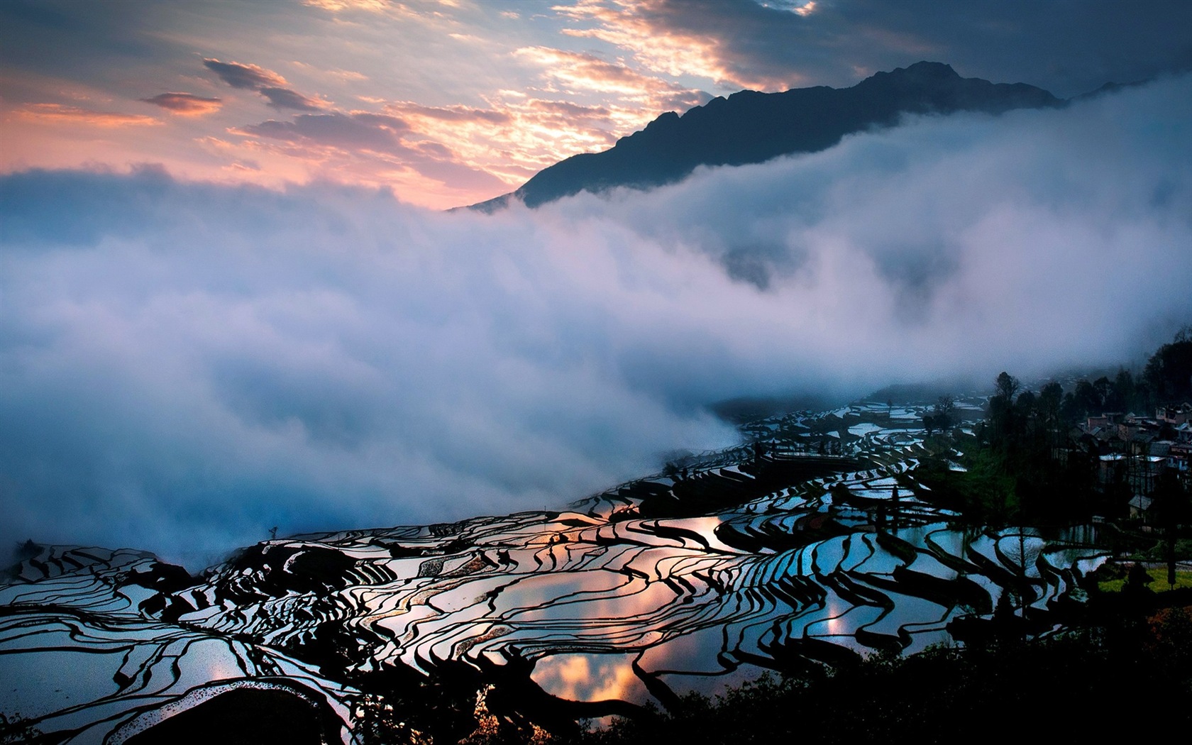 朦朧的清晨風景，Windows 8 主題壁紙 #5 - 1680x1050