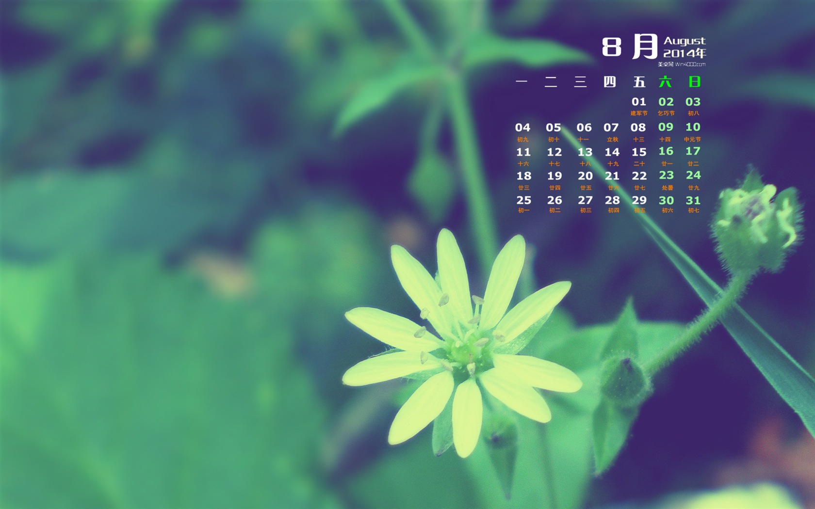 2014年8月 月曆壁紙(一) #15 - 1680x1050