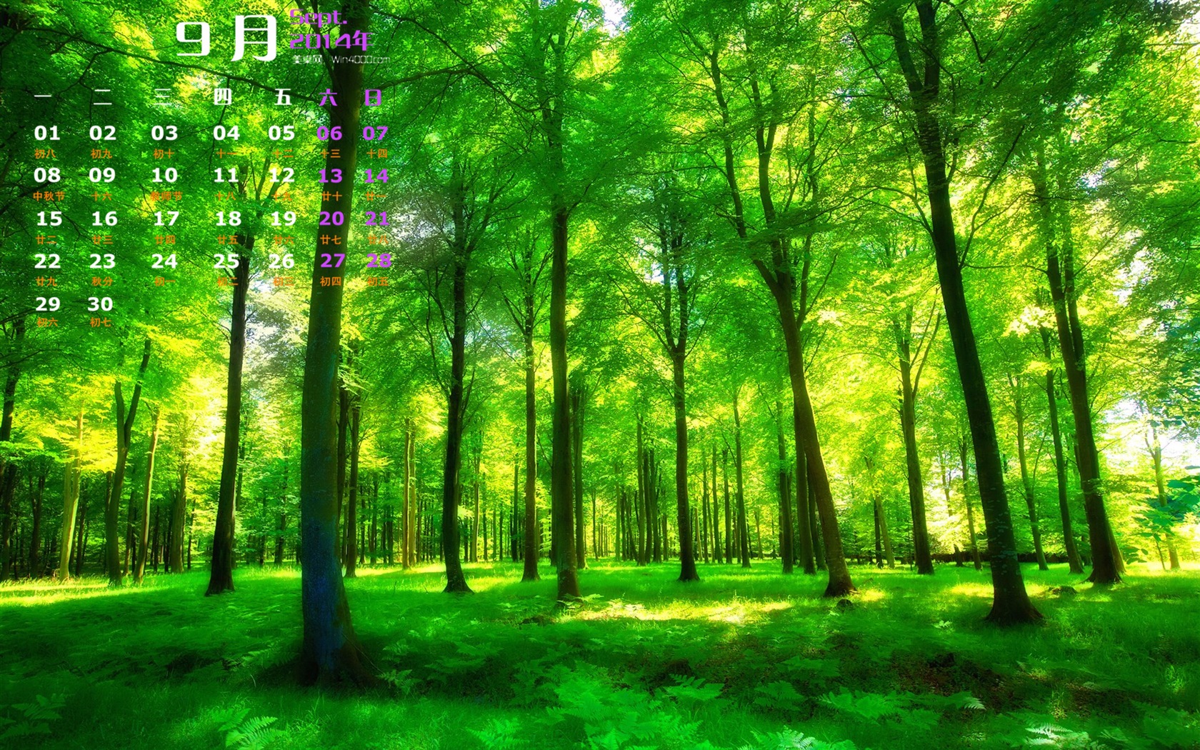 September 2014 Calendar wallpaper (2) #7 - 1680x1050