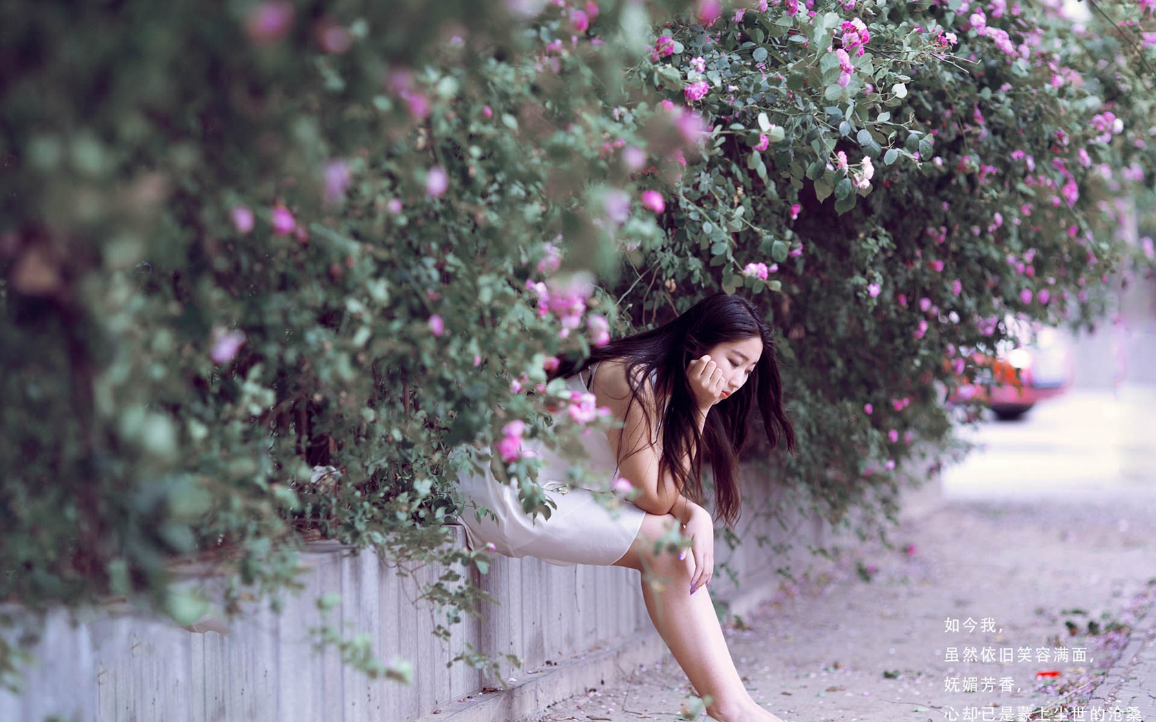 Hermosa chica con fondos de pantalla de alta definición de flores rosas #4 - 1680x1050