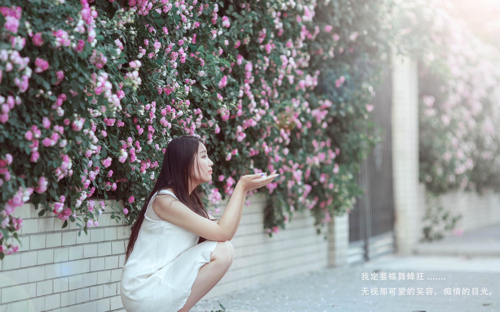 Hermosa chica con fondos de pantalla de alta definición de flores rosas #5 - 1680x1050