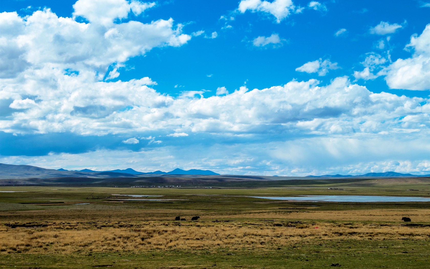 Qinghai Plateau beautiful scenery wallpaper #18 - 1680x1050