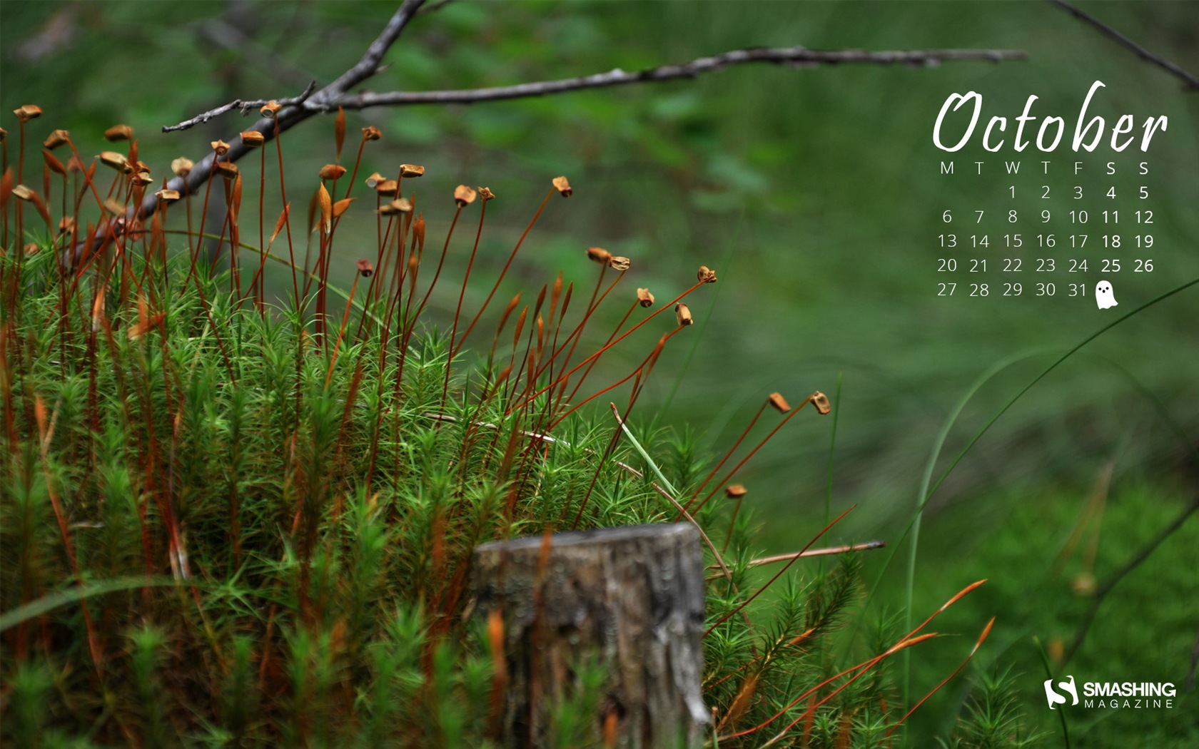 October 2014 Calendar wallpaper (1) #19 - 1680x1050