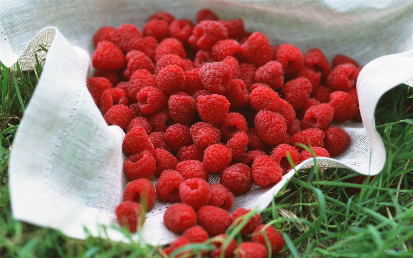 Fondos de pantalla de alta definición de frambuesa roja dulces #3 - 1680x1050