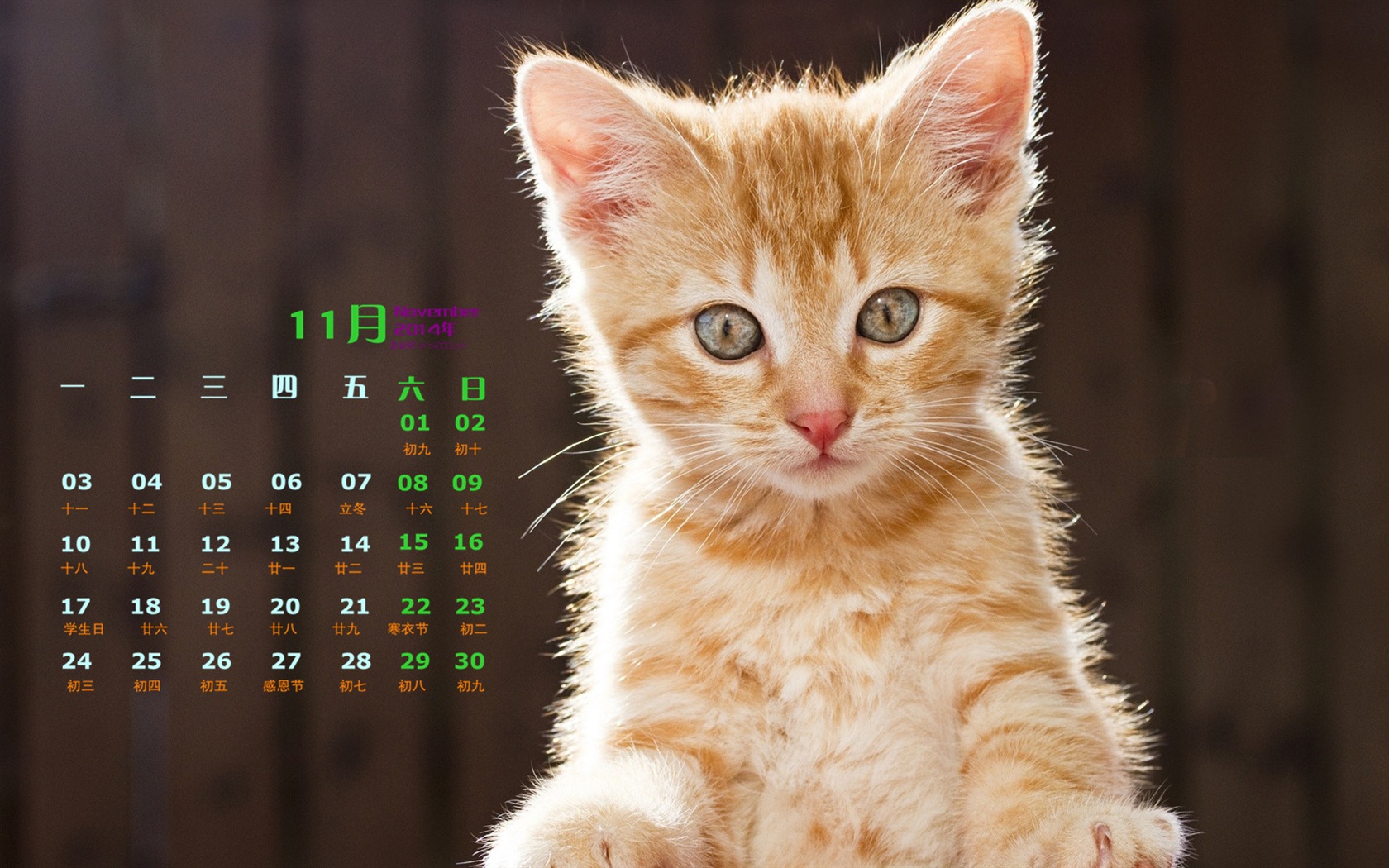 November 2014 Calendar wallpaper(1) #5 - 1680x1050