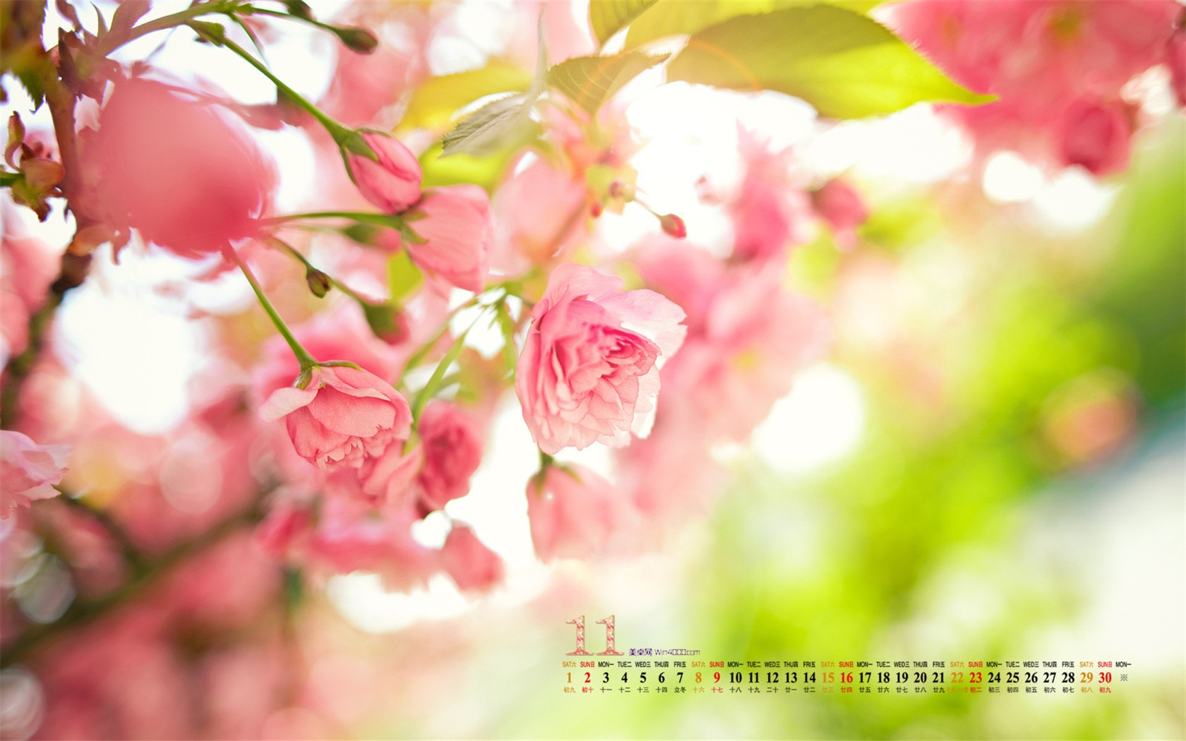 2014年11月 月曆壁紙(一) #17 - 1680x1050