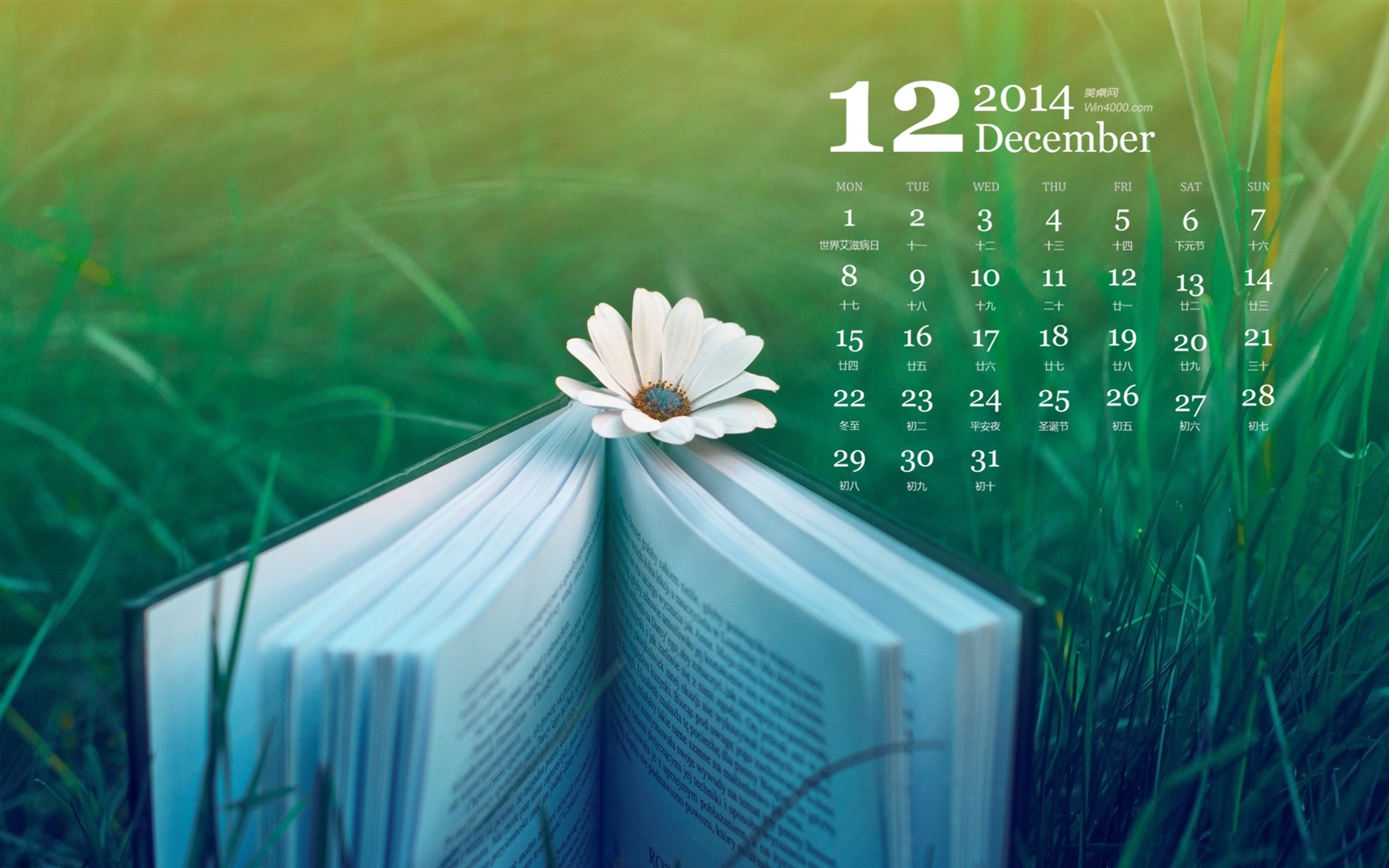 December 2014 Calendar wallpaper (1) #7 - 1680x1050