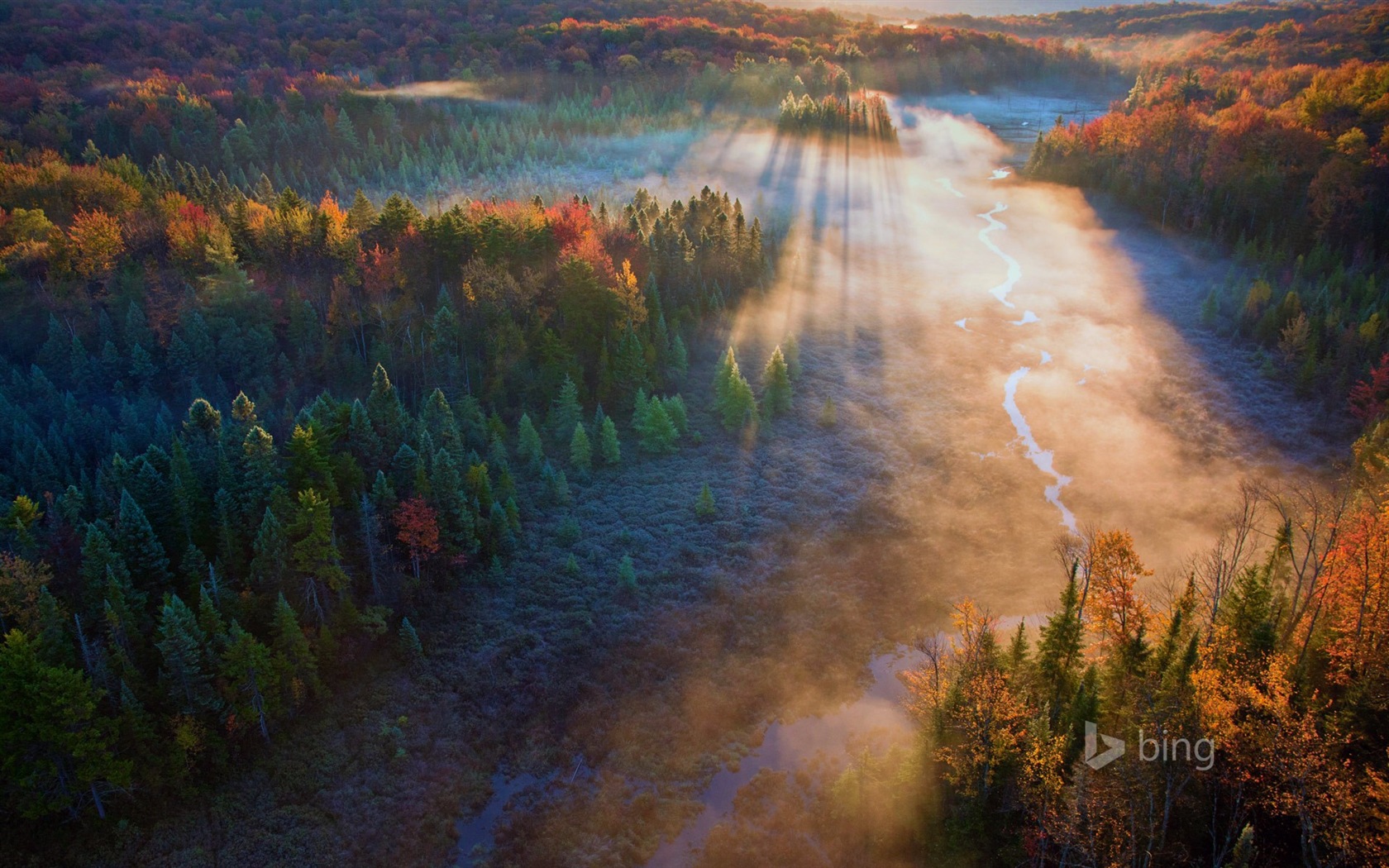 11. 2014 Bing Tapety #9 - 1680x1050