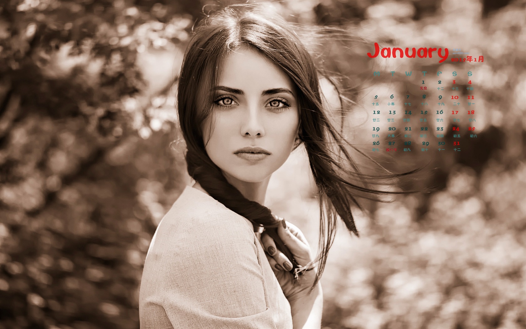 Januar 2015 Kalender Wallpaper (1) #4 - 1680x1050