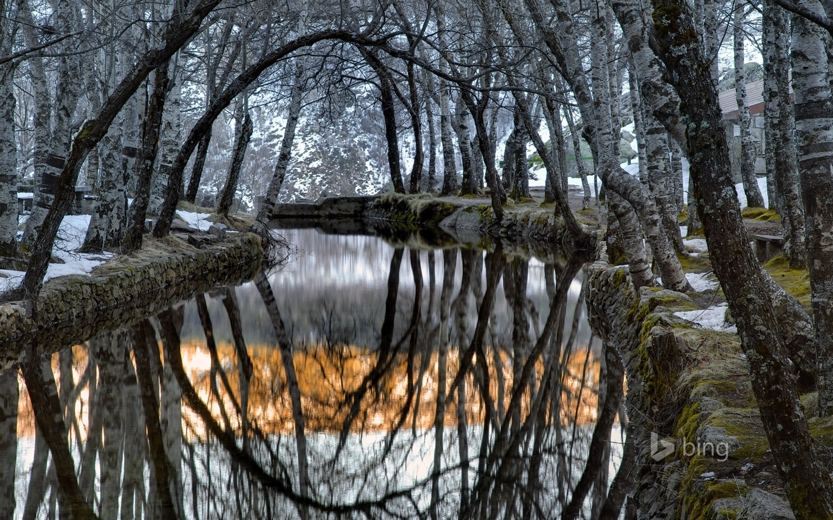 12. 2014 Bing HD tapety na plochu #11 - 1680x1050