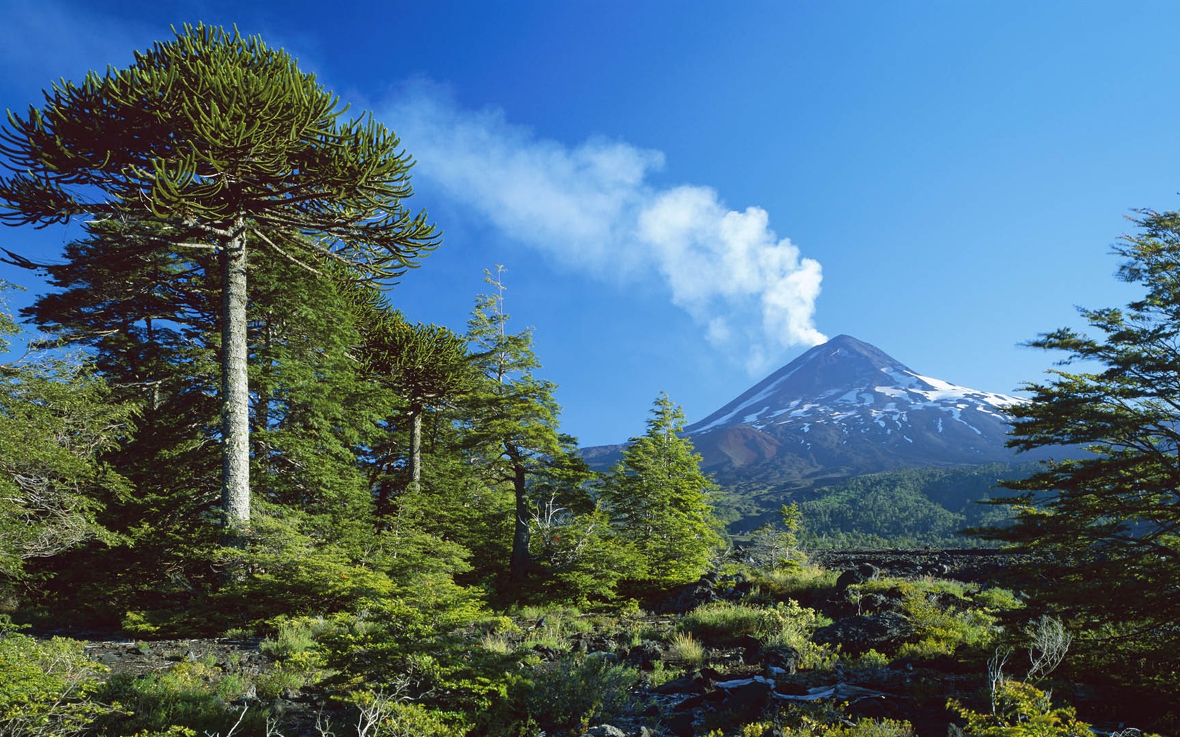 唯美养眼的自然风景 高清壁纸17 - 1680x1050