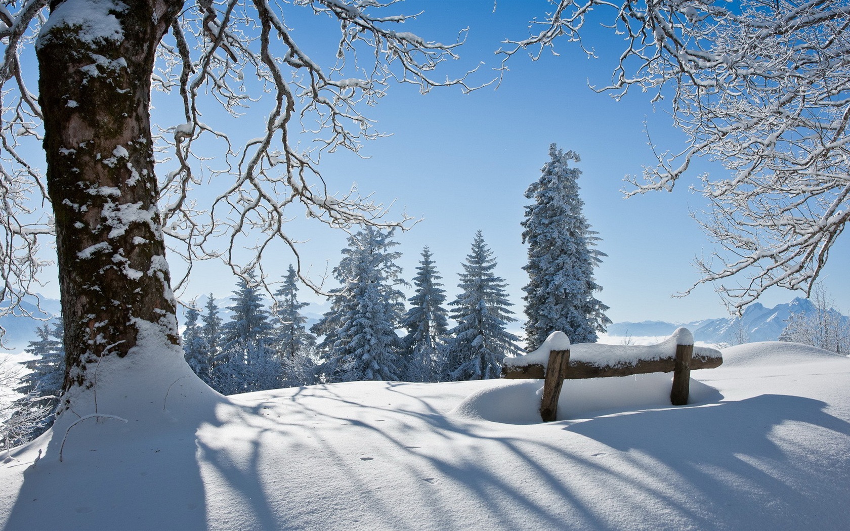 Zimní sníh Nádherná příroda HD tapety na plochu #13 - 1680x1050