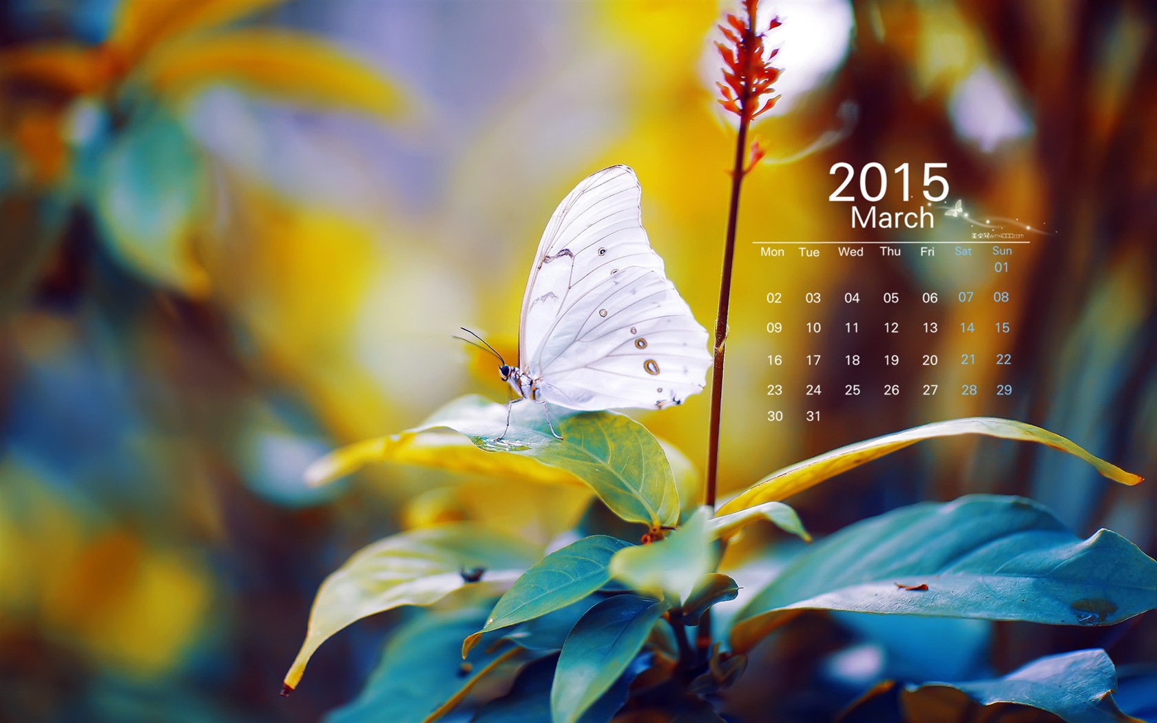March 2015 Calendar wallpaper (1) #8 - 1680x1050