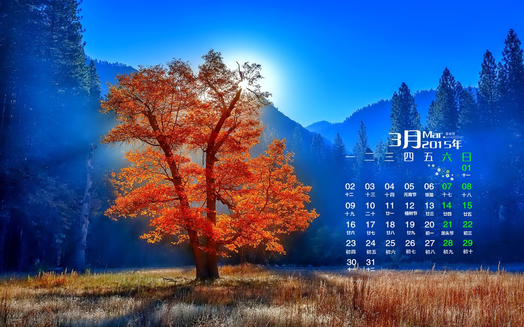 March 2015 Calendar wallpaper (1) #16 - 1680x1050