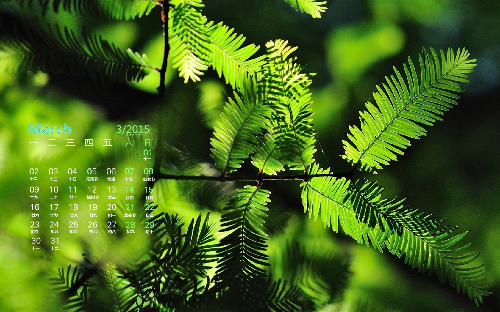 März 2015 Kalender Tapete (1) #18 - 1680x1050