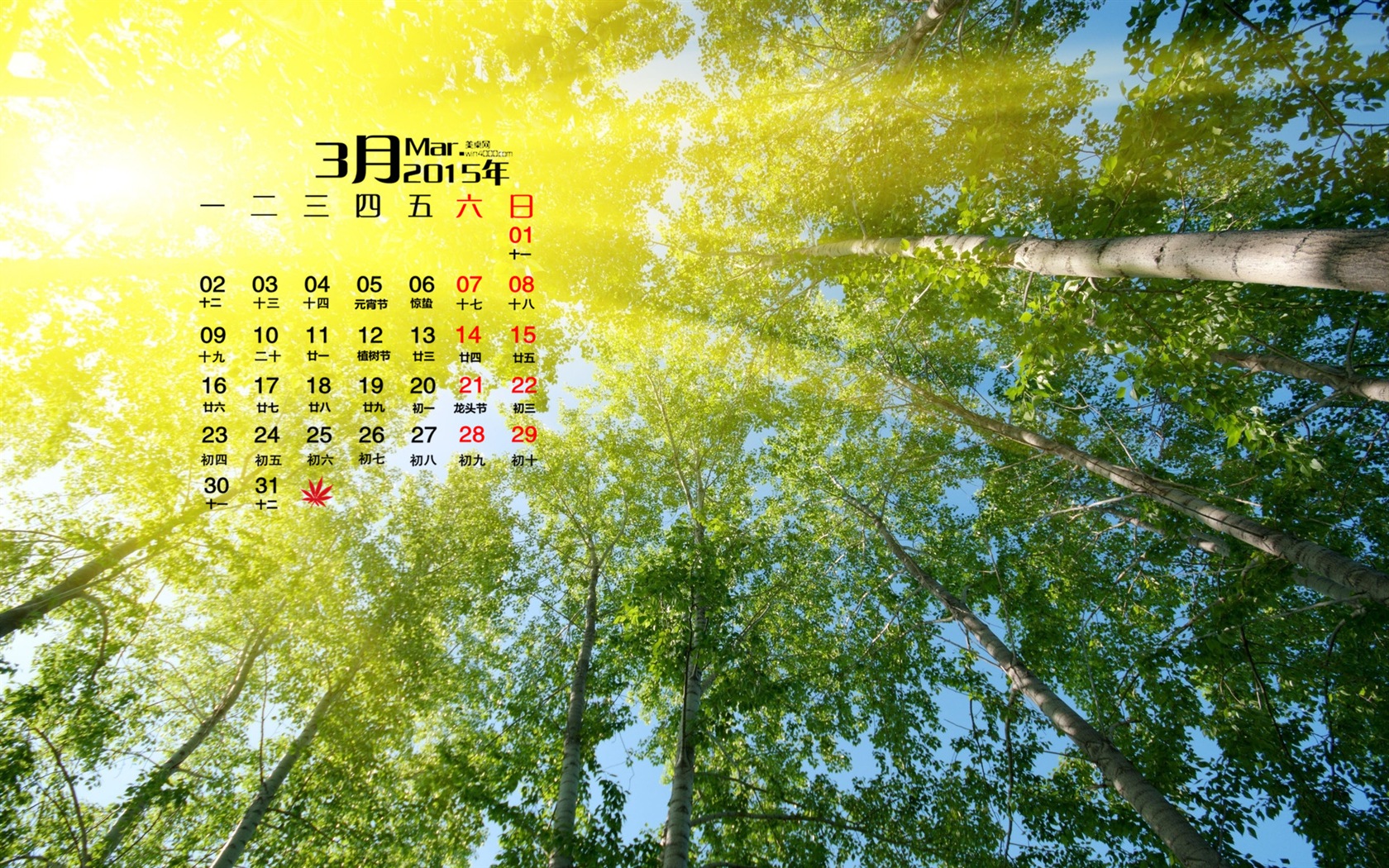 March 2015 Calendar wallpaper (1) #20 - 1680x1050