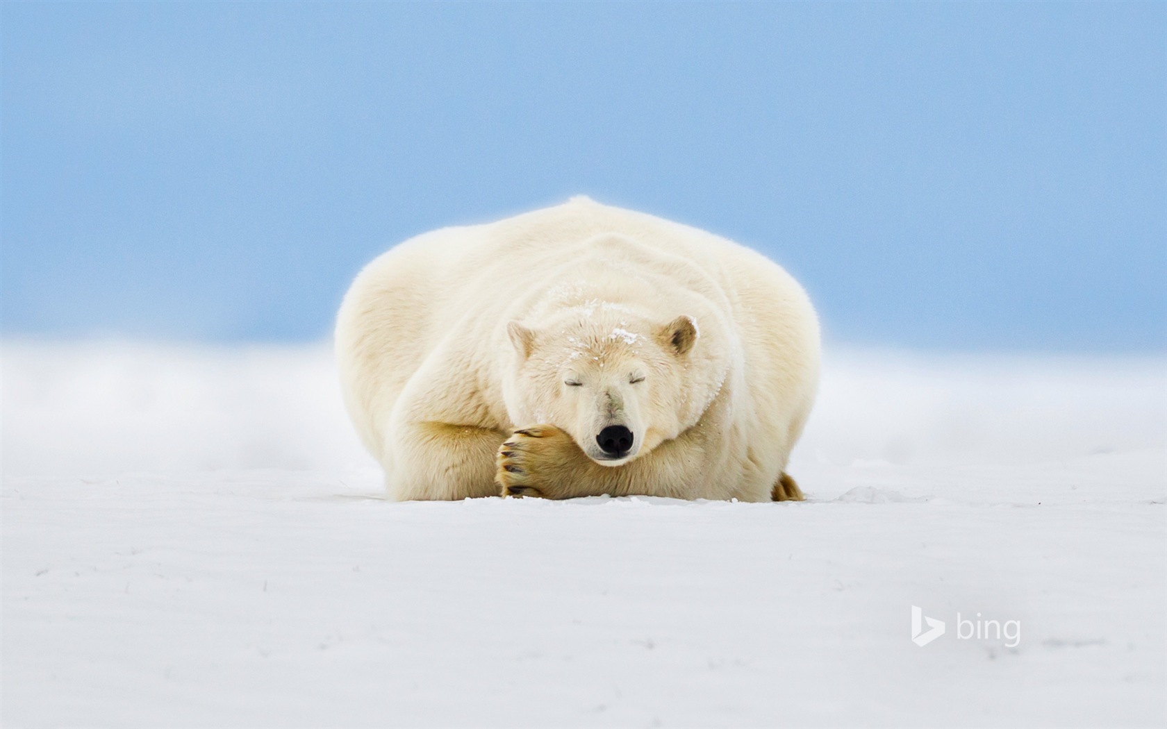 02 2015 fondos de pantalla HD Bing #9 - 1680x1050