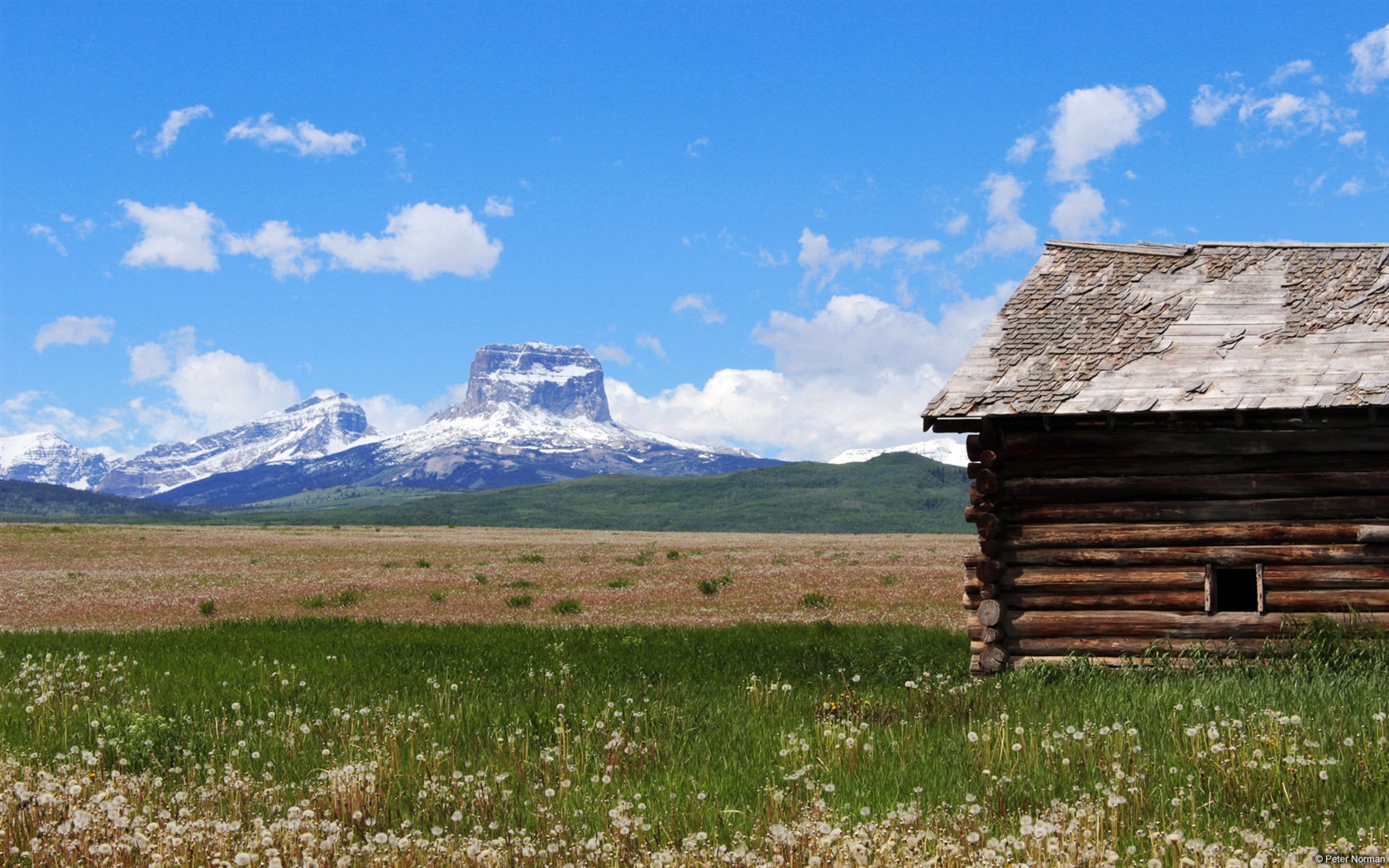 田園風景、Windows 8のHDの壁紙 #18 - 1680x1050