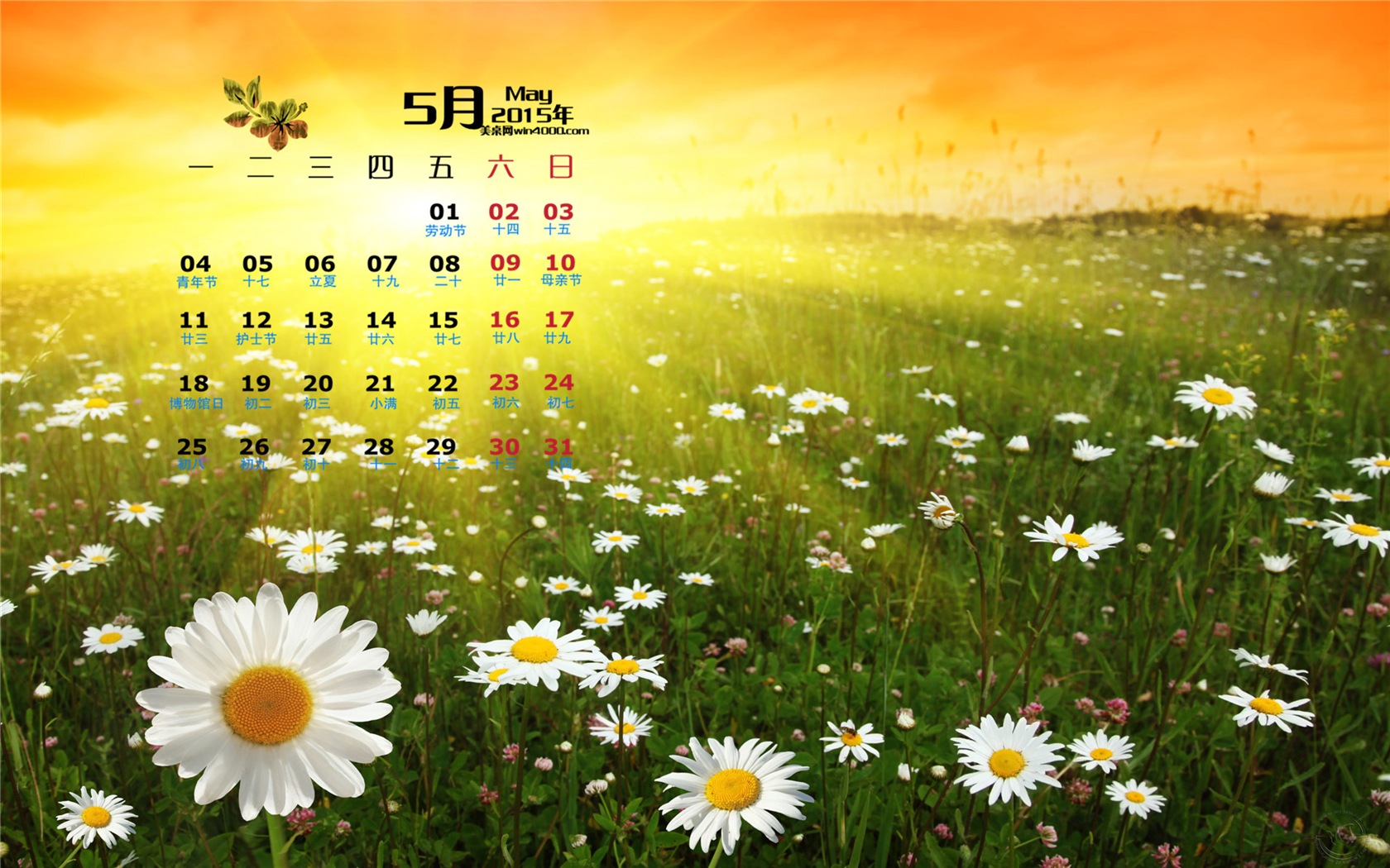 2015年5月 月历壁纸(一)15 - 1680x1050