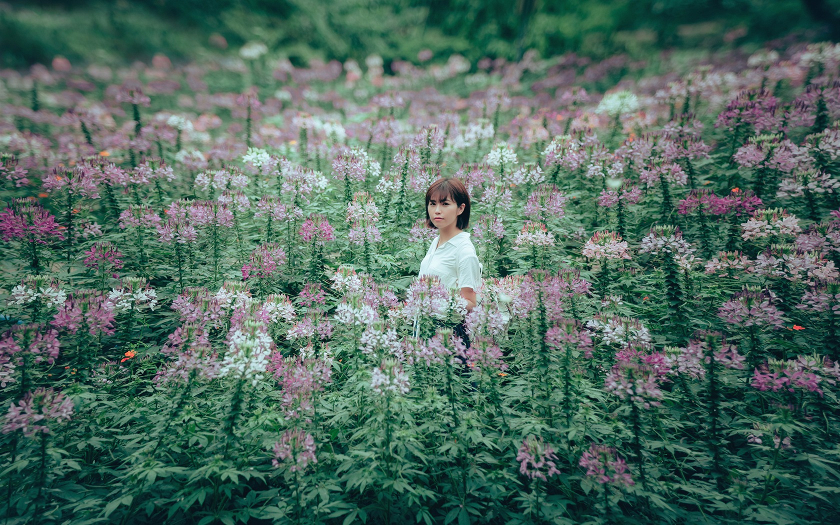 Čisté dívka tapety #8 - 1680x1050