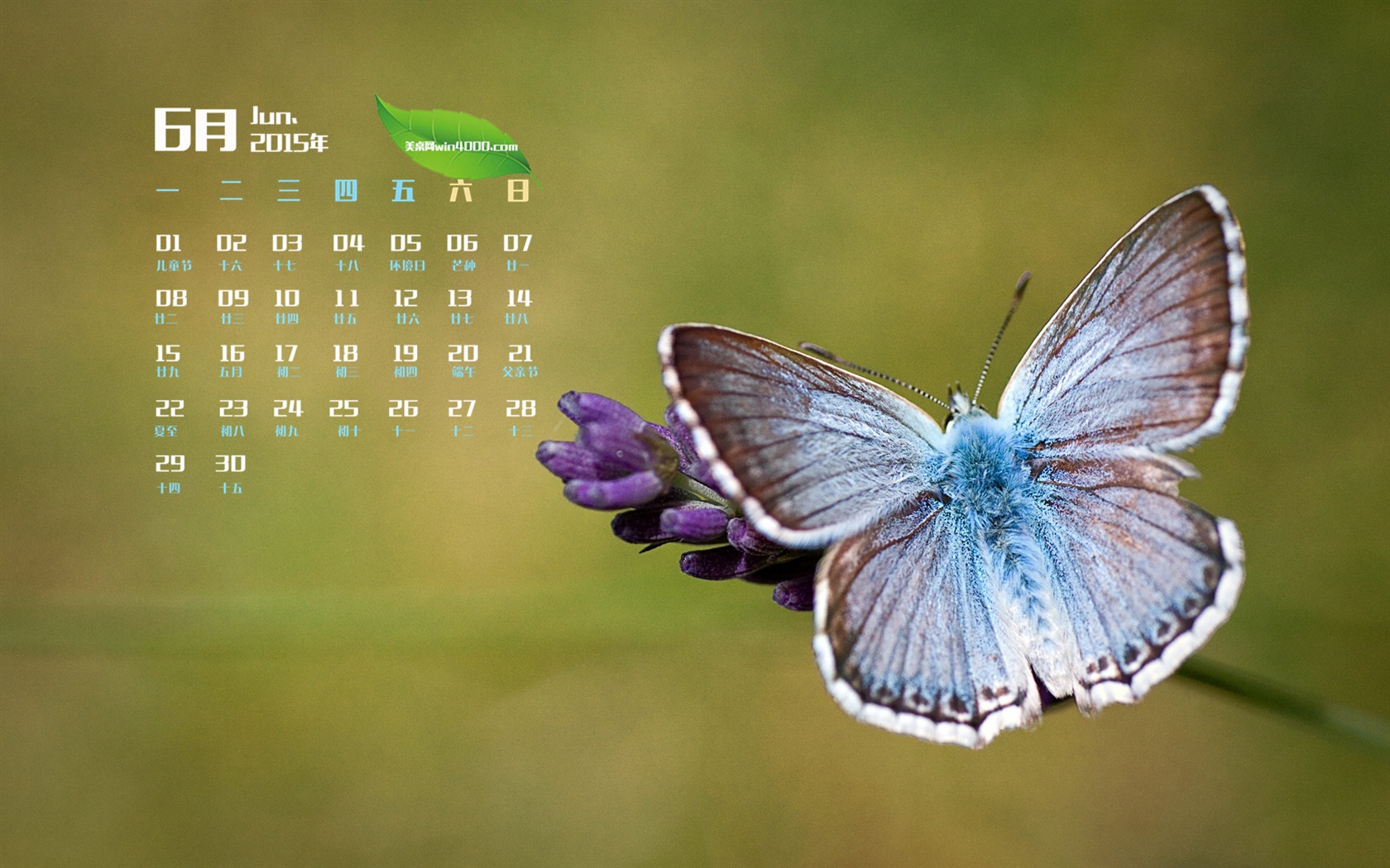 Juni 2015 Kalender Wallpaper (1) #6 - 1680x1050