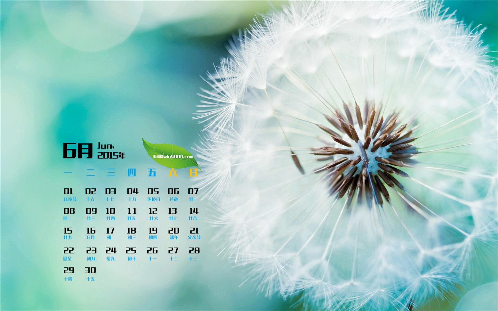 Juni 2015 Kalender Wallpaper (1) #20 - 1680x1050